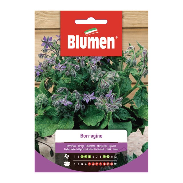 Semi di borragine BLUMEN 18 g