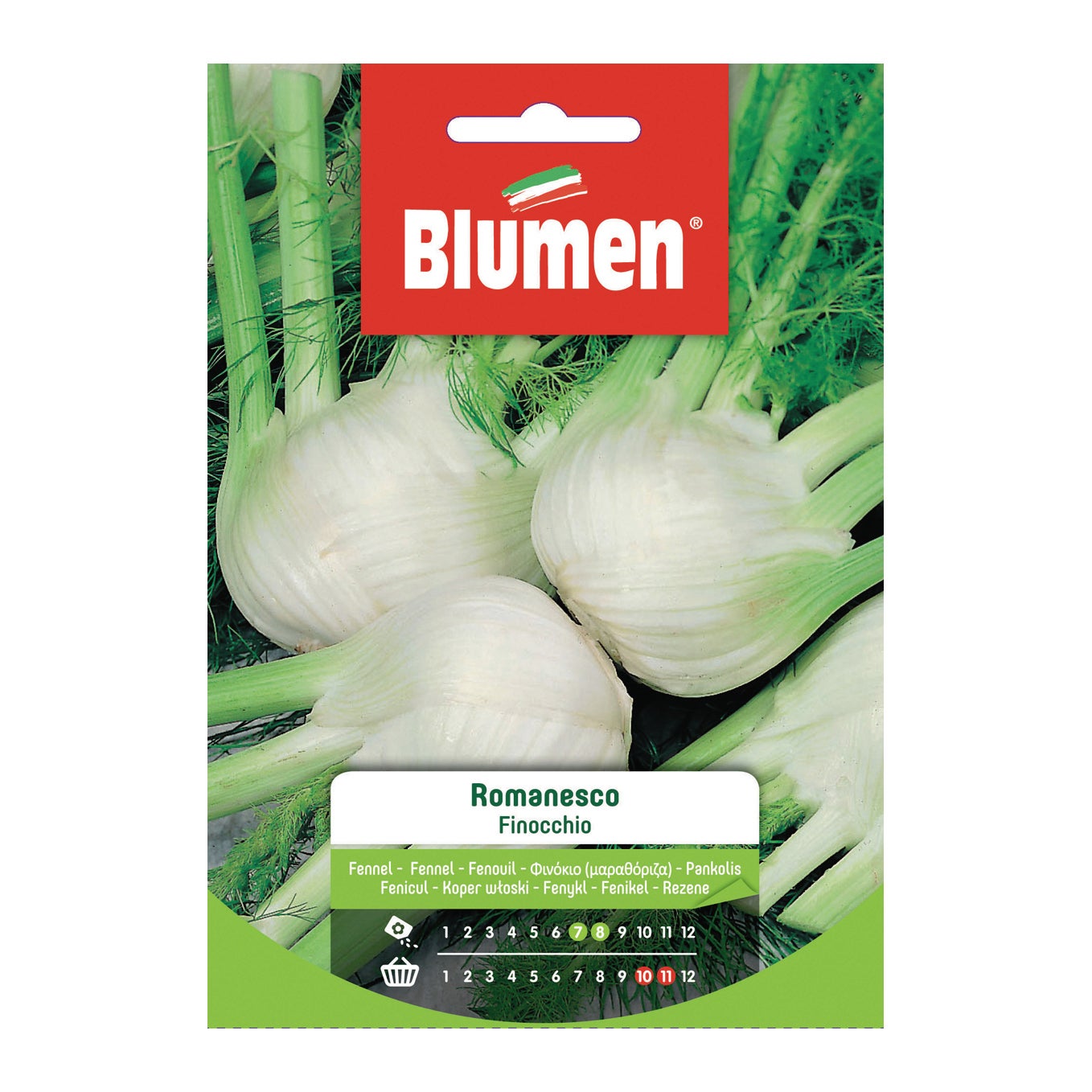 Acquista 15 semi di Patisson bianco - orto di zucca vegetale - semi