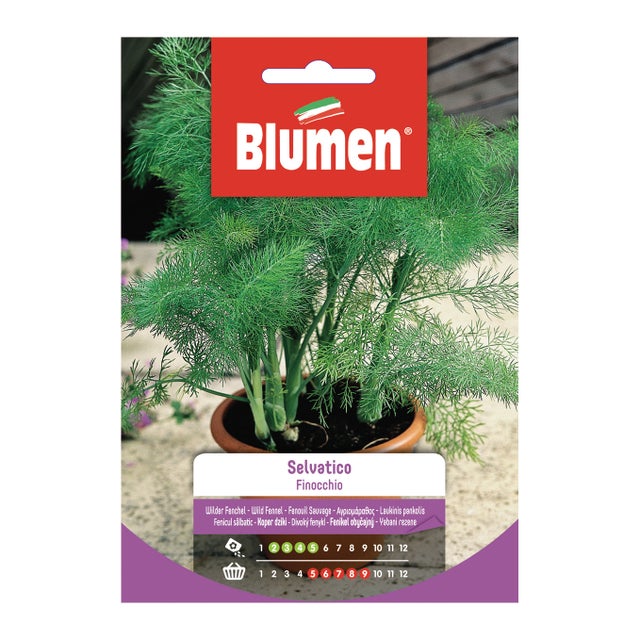 Semi di finocchio selvatico BLUMEN 18 g