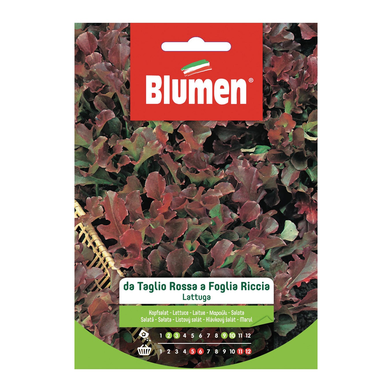 BUSTA MAGNUM SEMI DI CAROTA NANTES ORTO GIARDINO SEMI