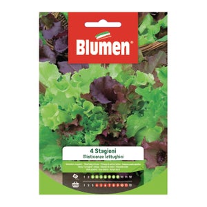 Colpo Superiore, Fine Su Dei Tipi Differenti Di Lattughe Appena Raccolte Verdi E Rosse Porpora Lattuga Riccia Rucola C Con Le Gocce Image141549015 - Foto 8