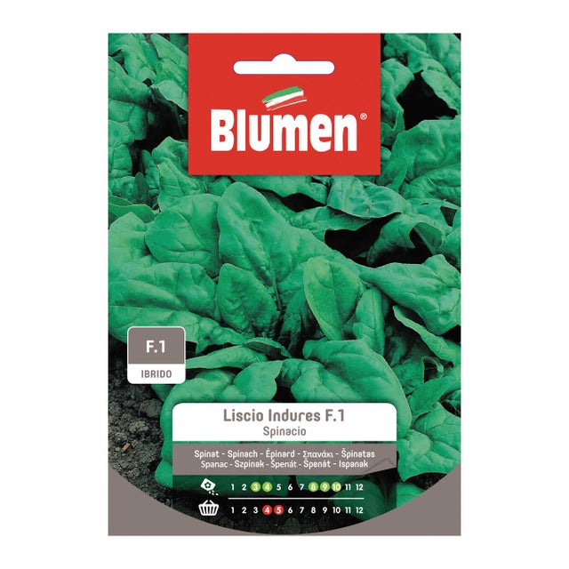Semi di spinacio liscio fiorano BLUMEN 18 g