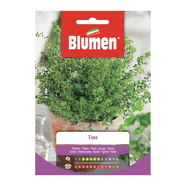 Semi di timo BLUMEN 18 g