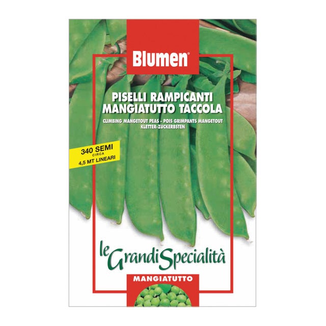 Semi di piselli rampicante mangiatutto taccola BLUMEN 18 g