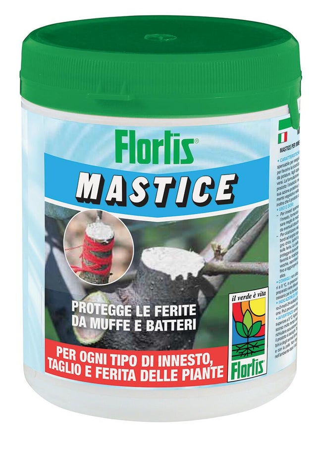 Mastice FLORTIS 500 g