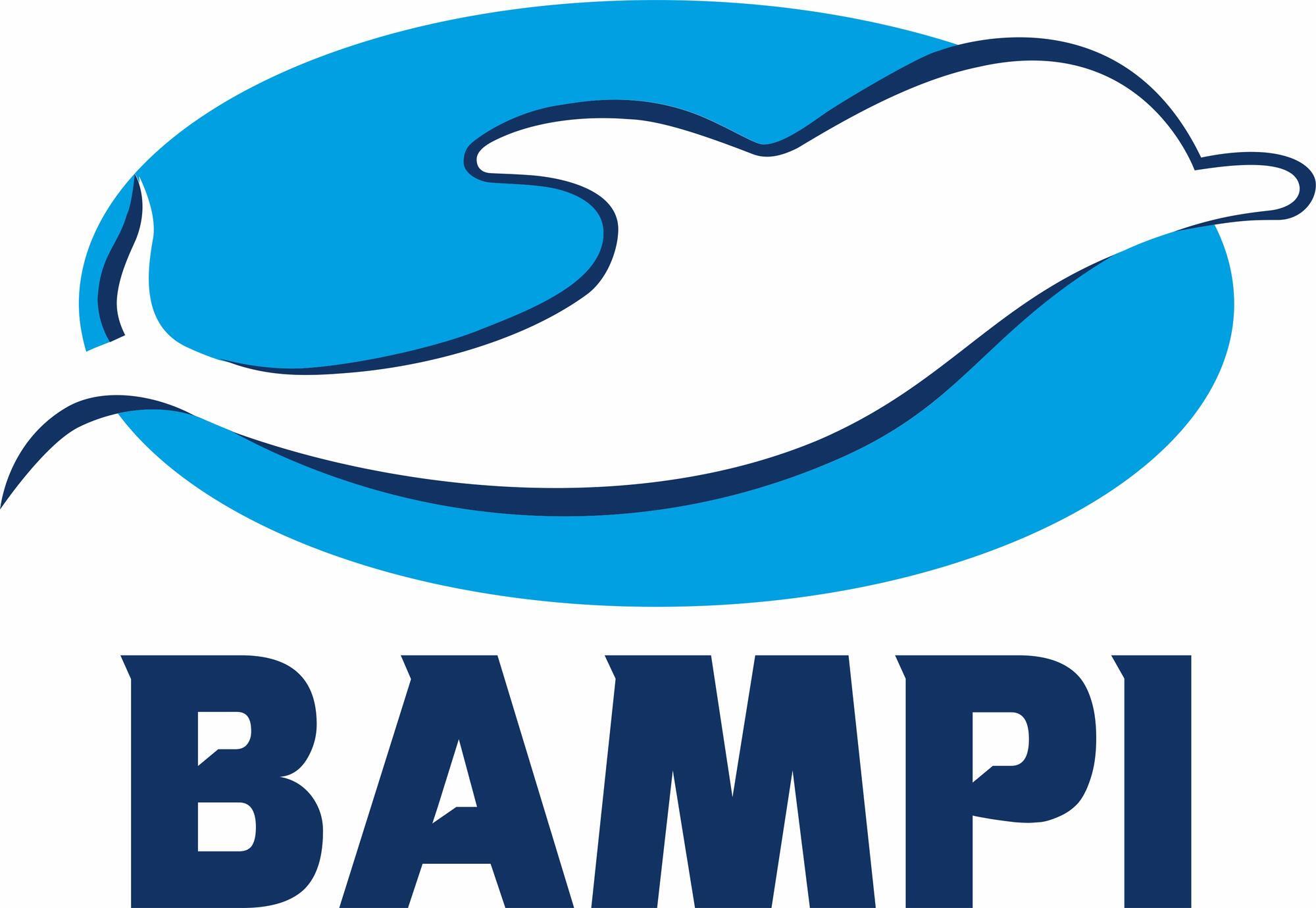 Bampi | Leroy Merlin