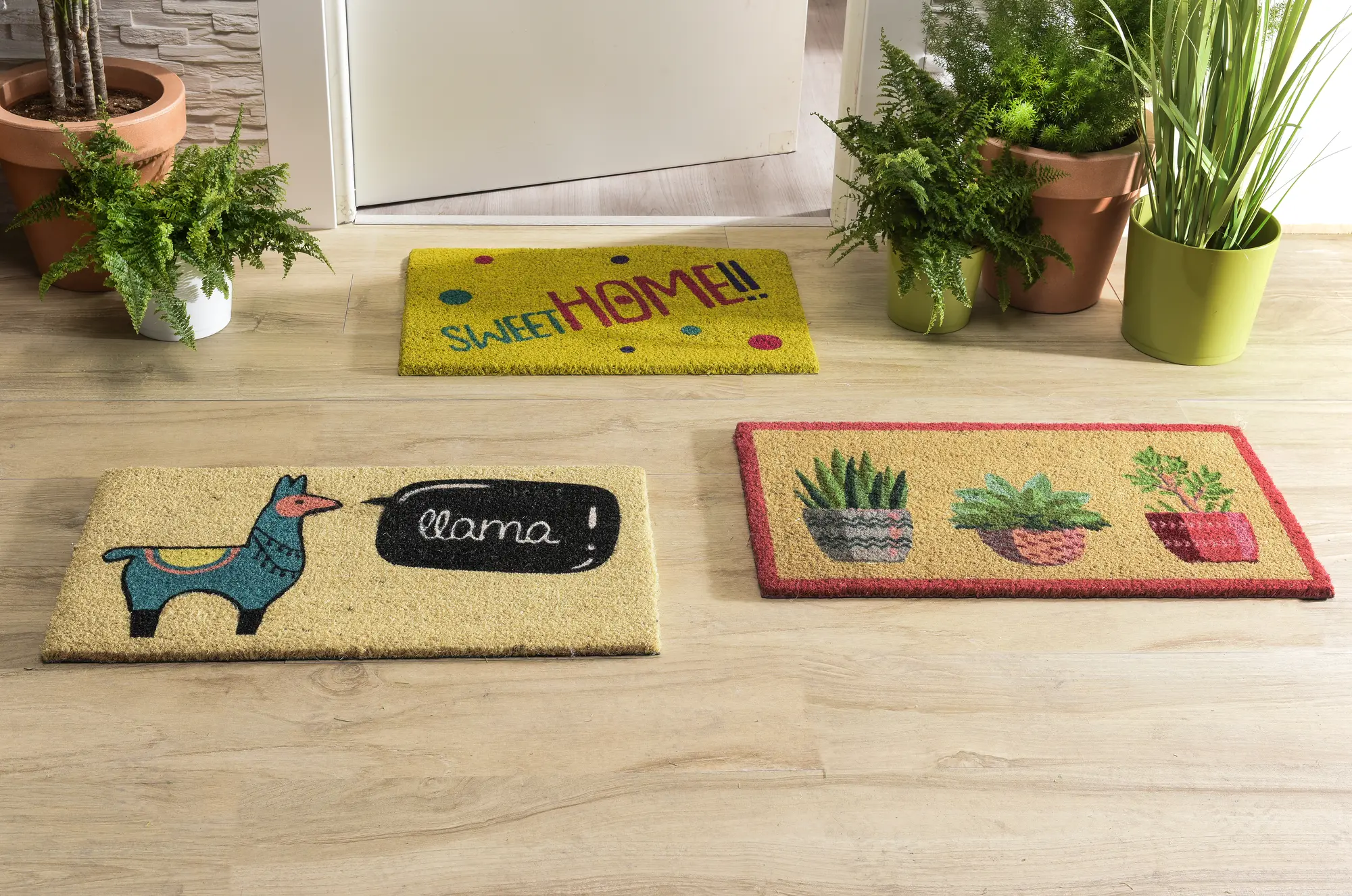 Tapete de entrada COCO VASOS 40X70CM VERDE - 3