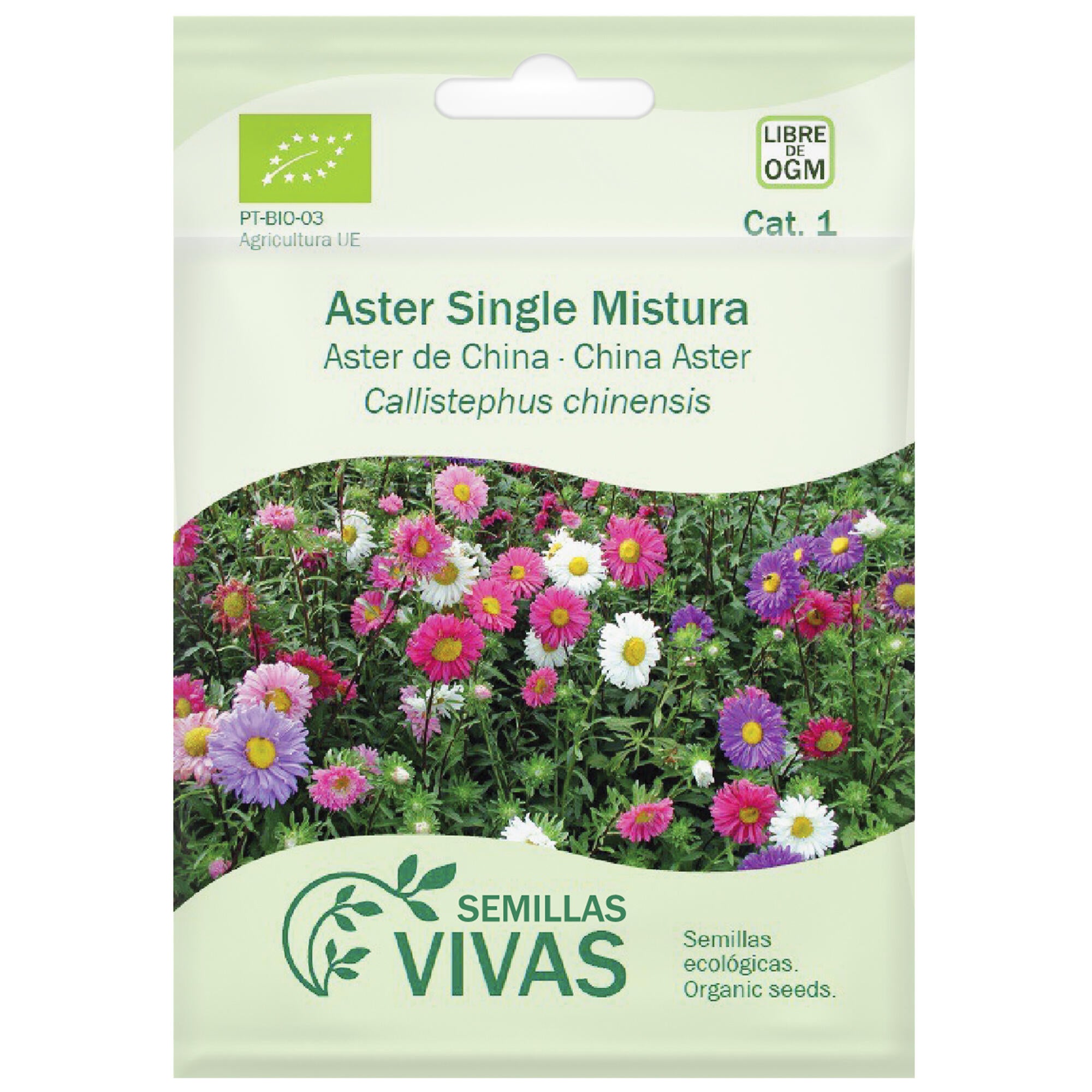 Semilla de aster de china single mix