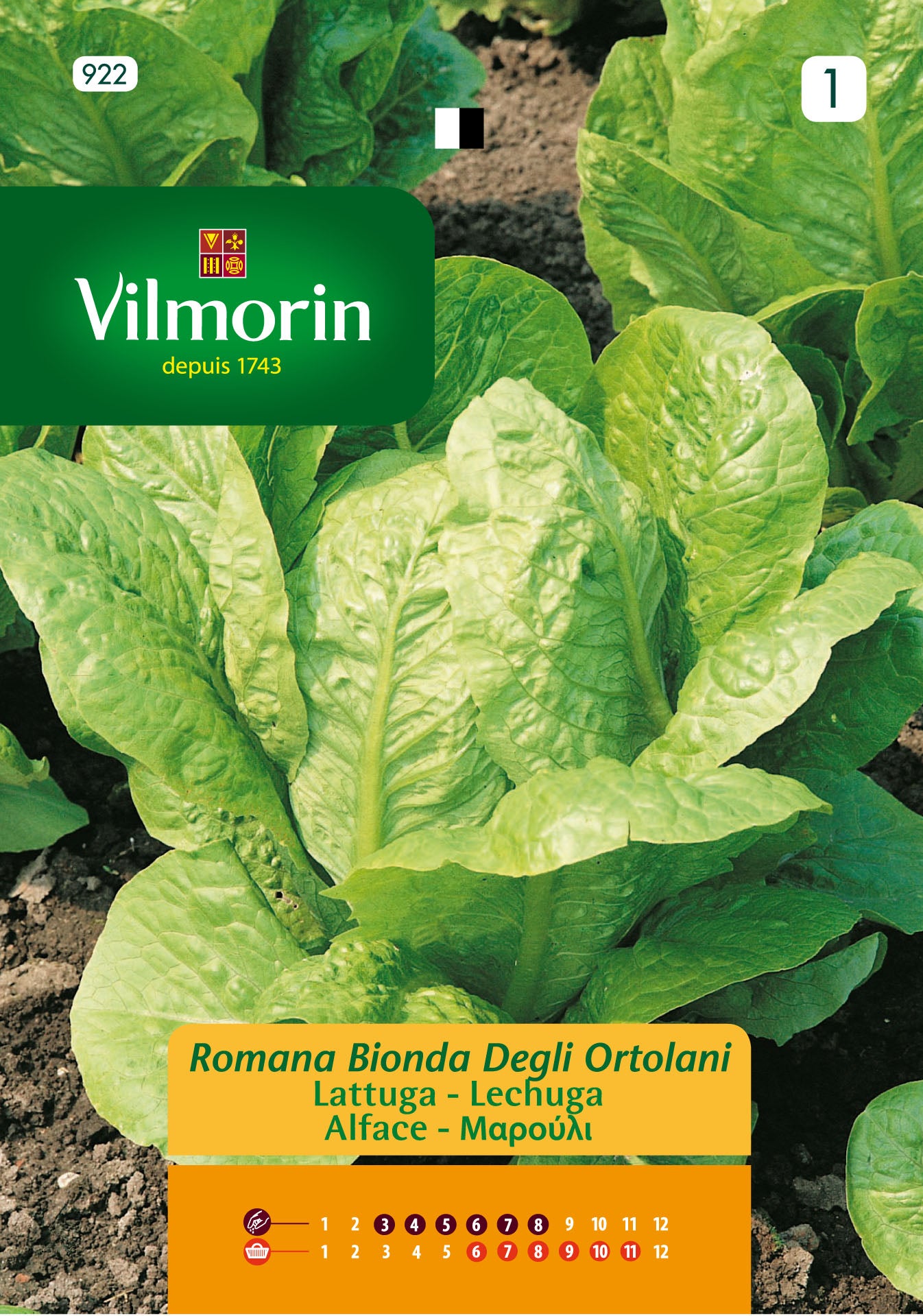 Semilla de lechuga bionda ortolani