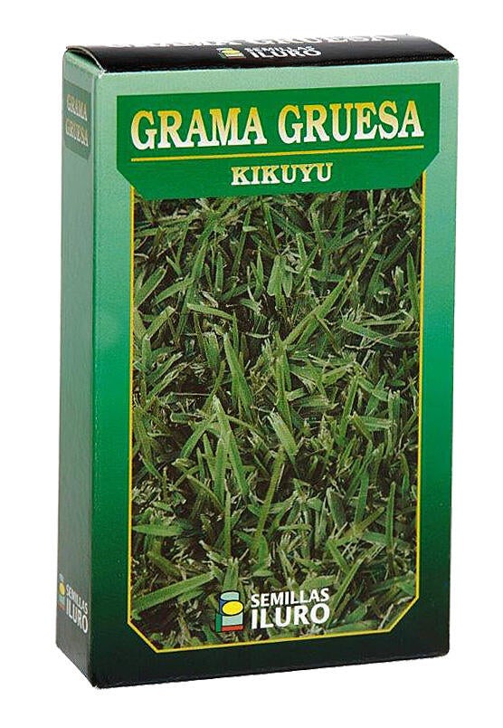 Césped grama gruesa iluro 0.1kg para terrenos de menos de 100 m²