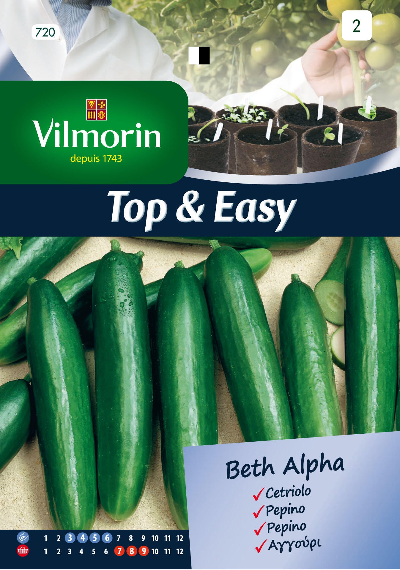 Semilla de pepino beit alpha