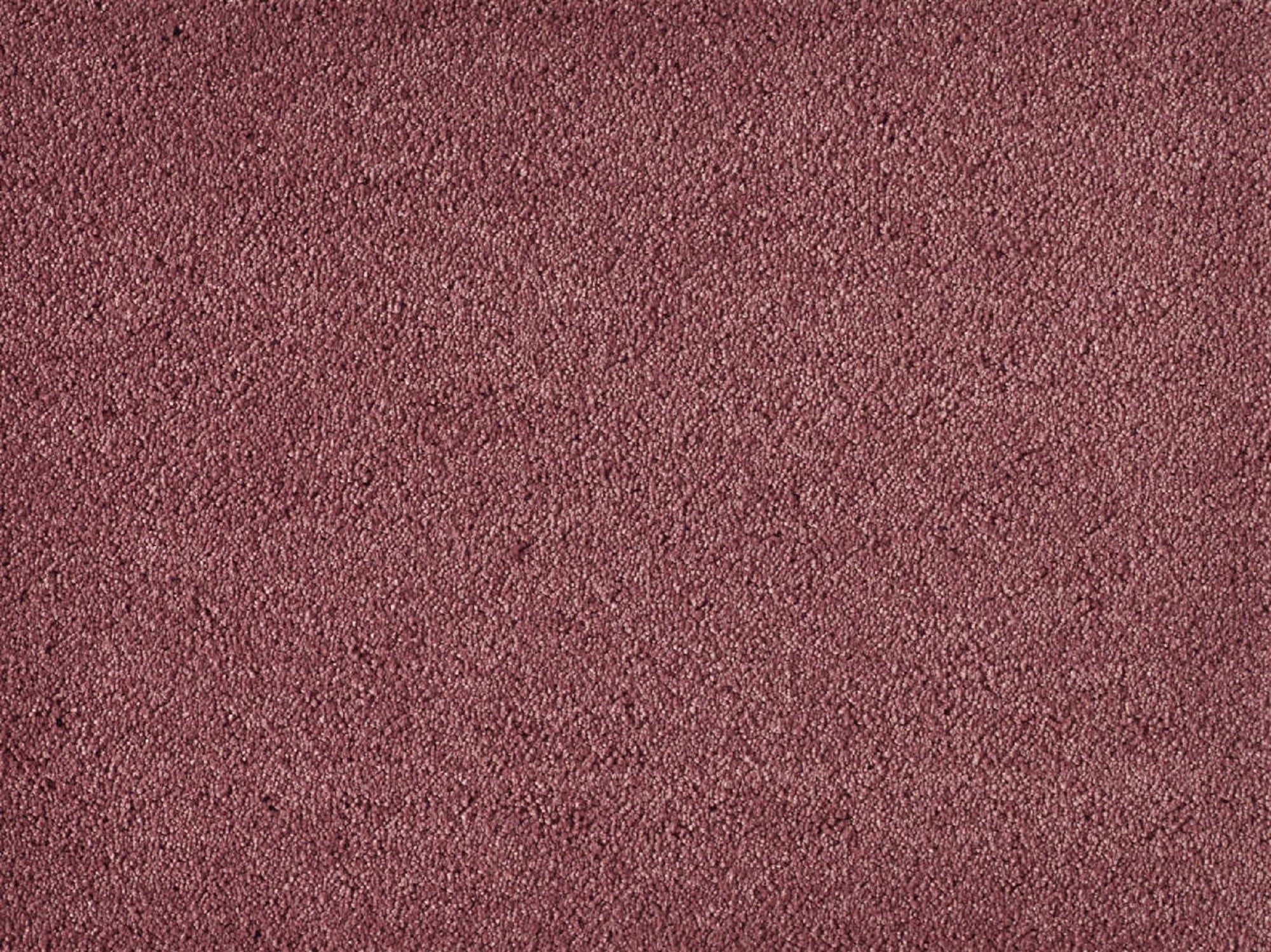 Moqueta pelo grueso belinda roja. pedido mínimo 4m²