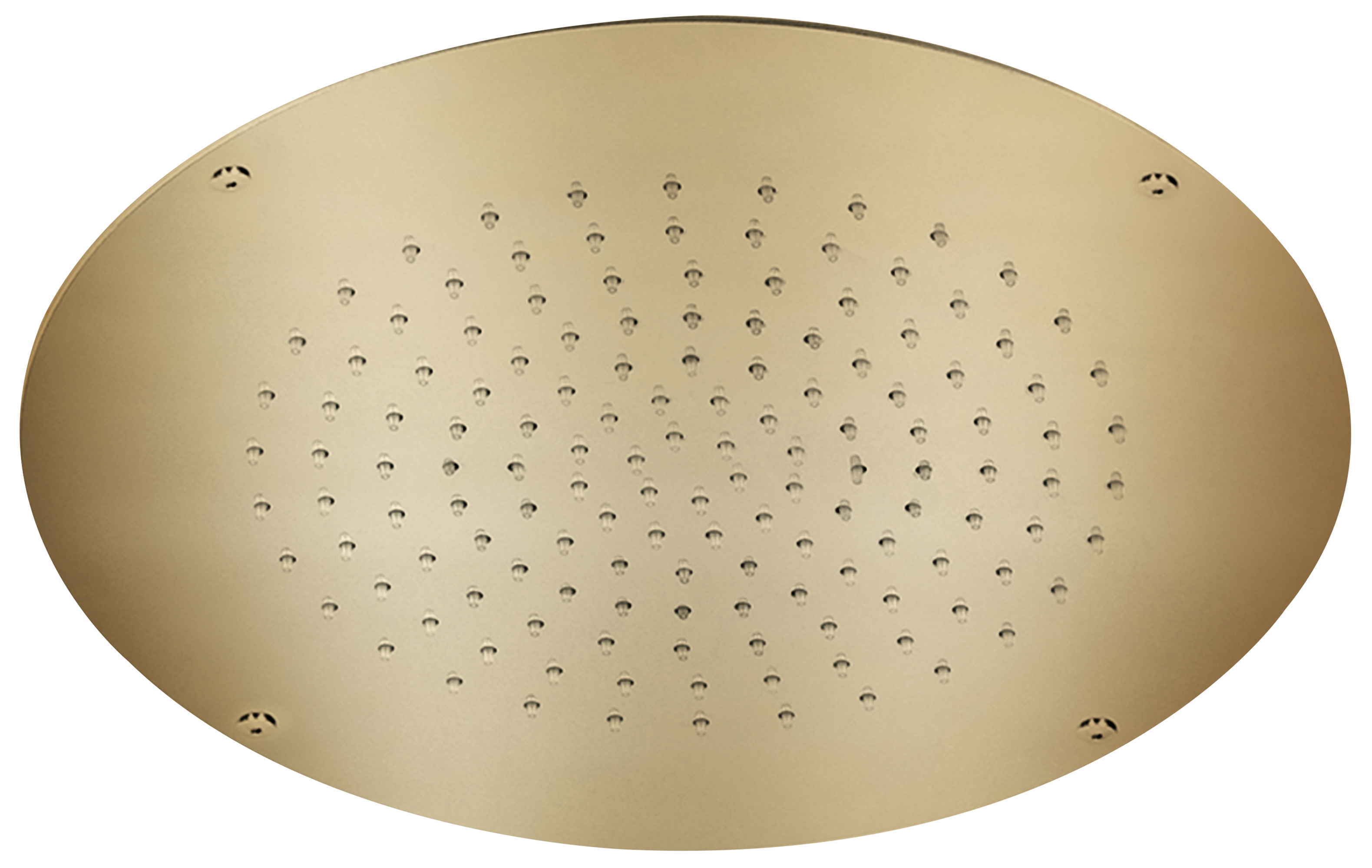 Rociador de ducha hydroterapia maier ø30 cm oro brillo
