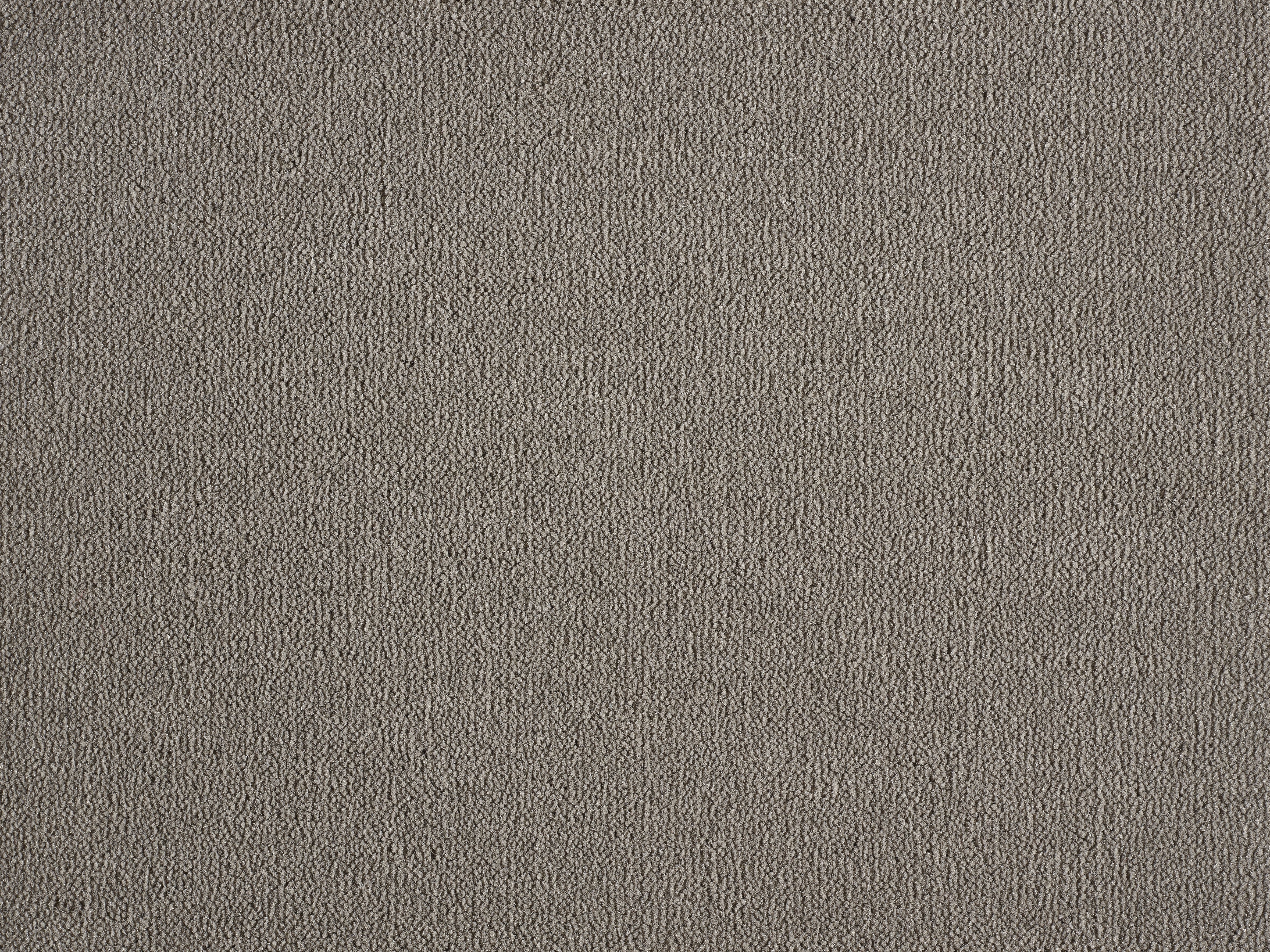 Moqueta de pelo grueso noblesse topo 2m de ancho. pedido mínimo 4m².