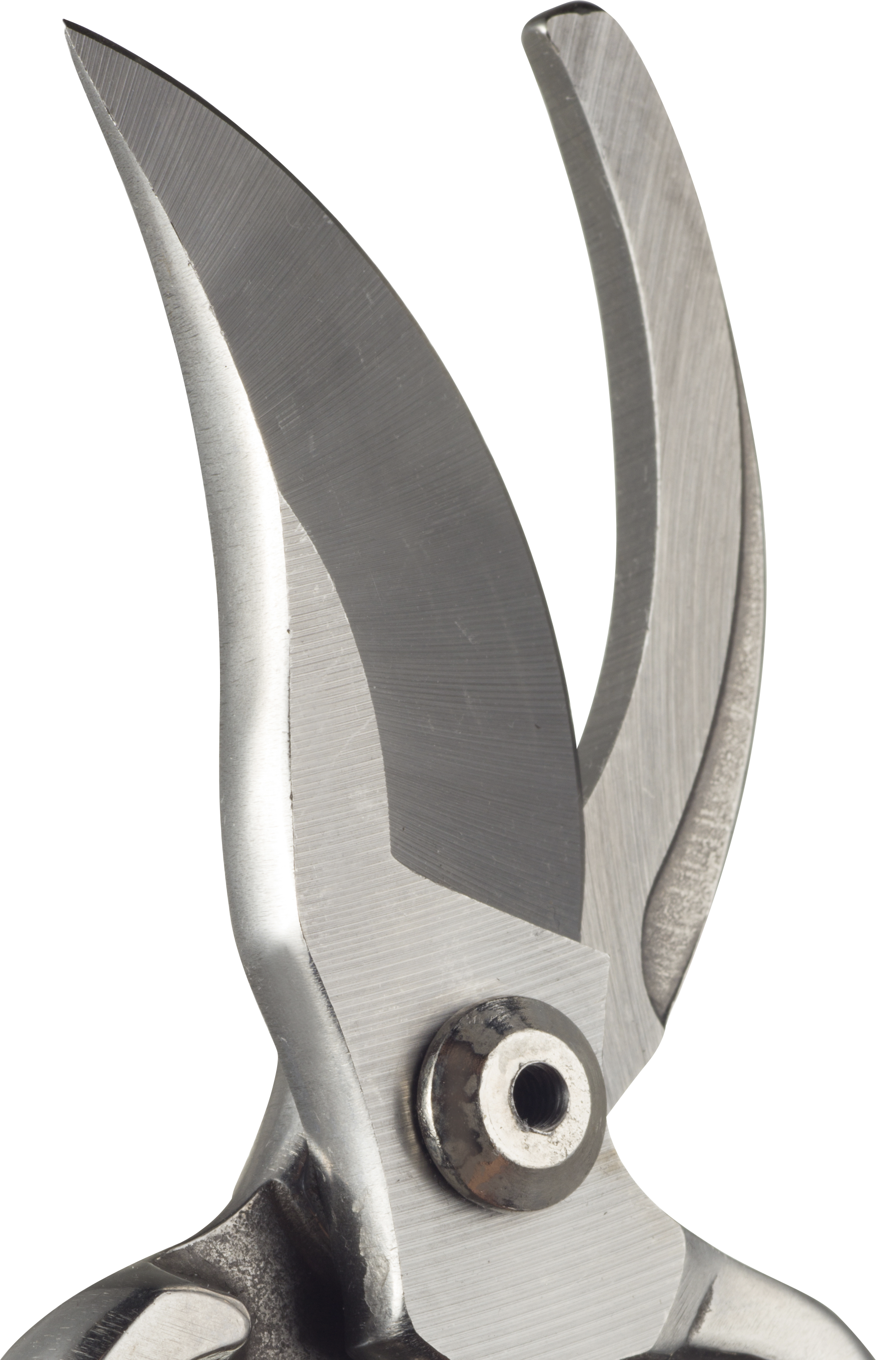 Tesoura de poda GEOLIA BYPASS 61MM - 7