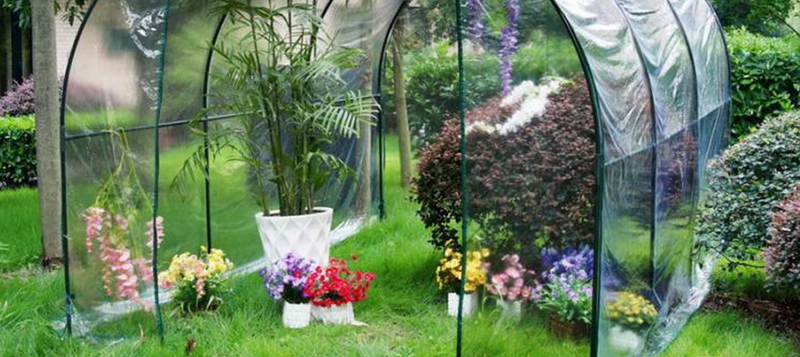 Mini invernadero pequeño para plantas al aire libre en interiores