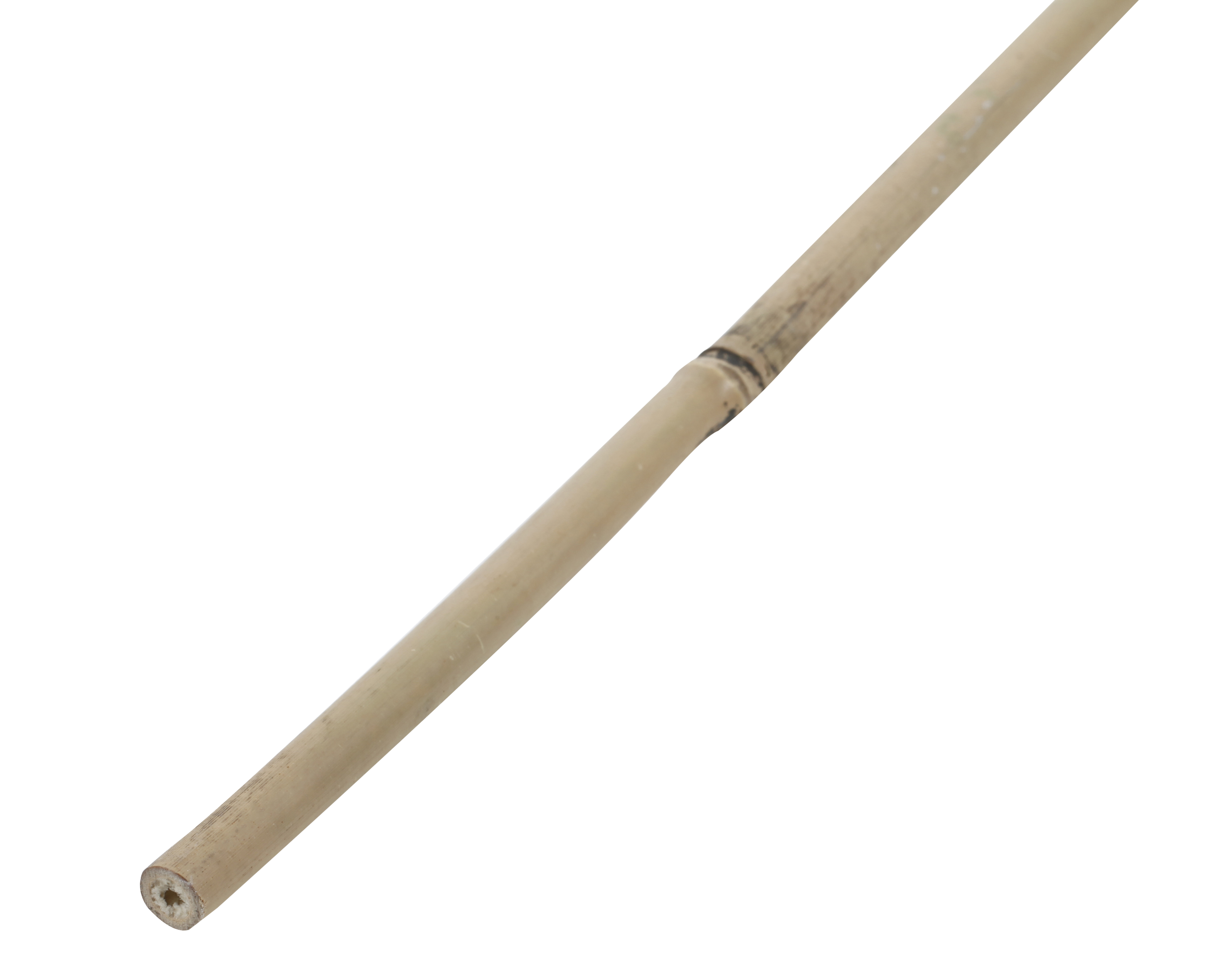 Tutor de bambu NATURAL 180CM 12-14MM - 8