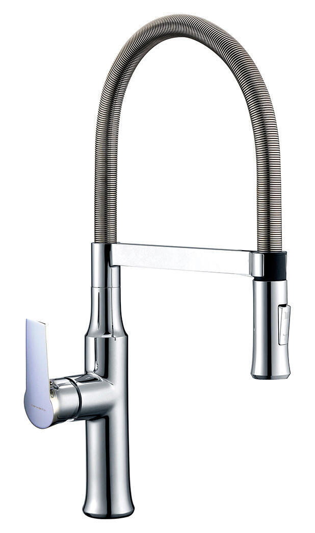 Grifo de cocina monomando caño alto + ducha clever partenon acero brillo