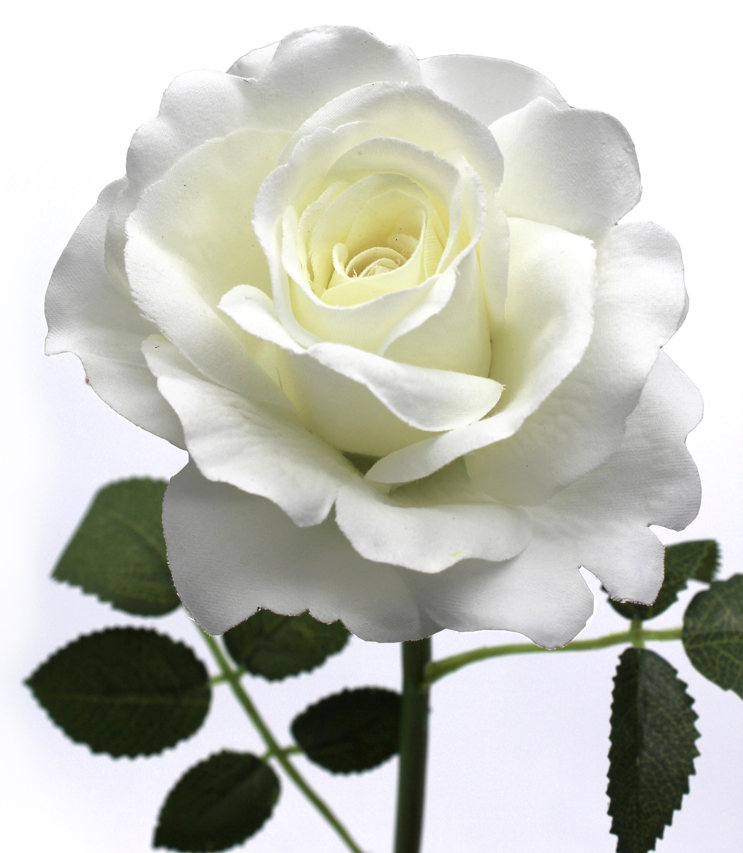 Planta artificial Rosa en color blanco de 62 cm de altura - 2