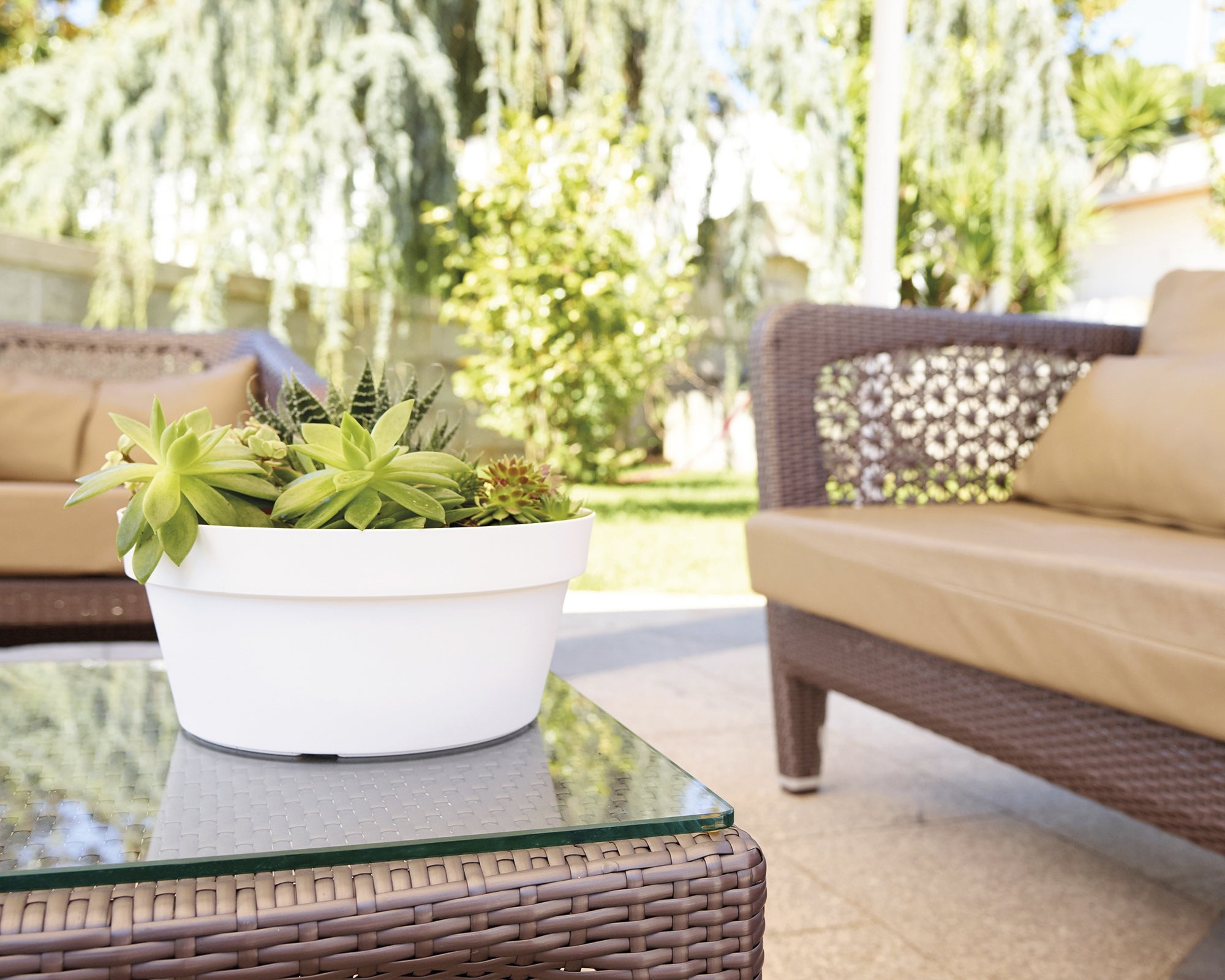 Taça CAPRI 25CM ANTRACITE - 3