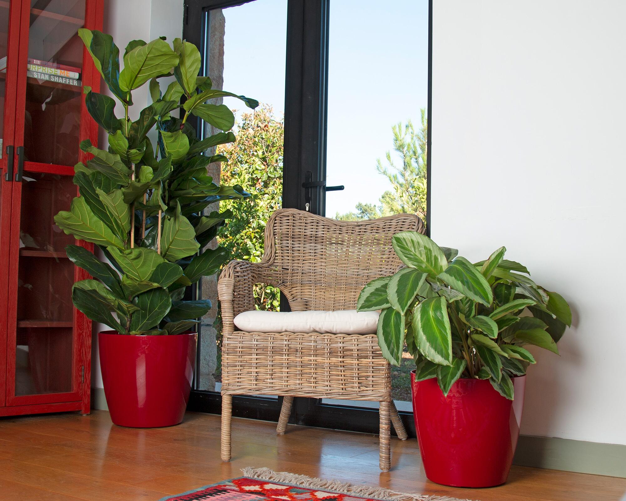 Vaso de plástico SAN REMO D30CM BRANCO - 9