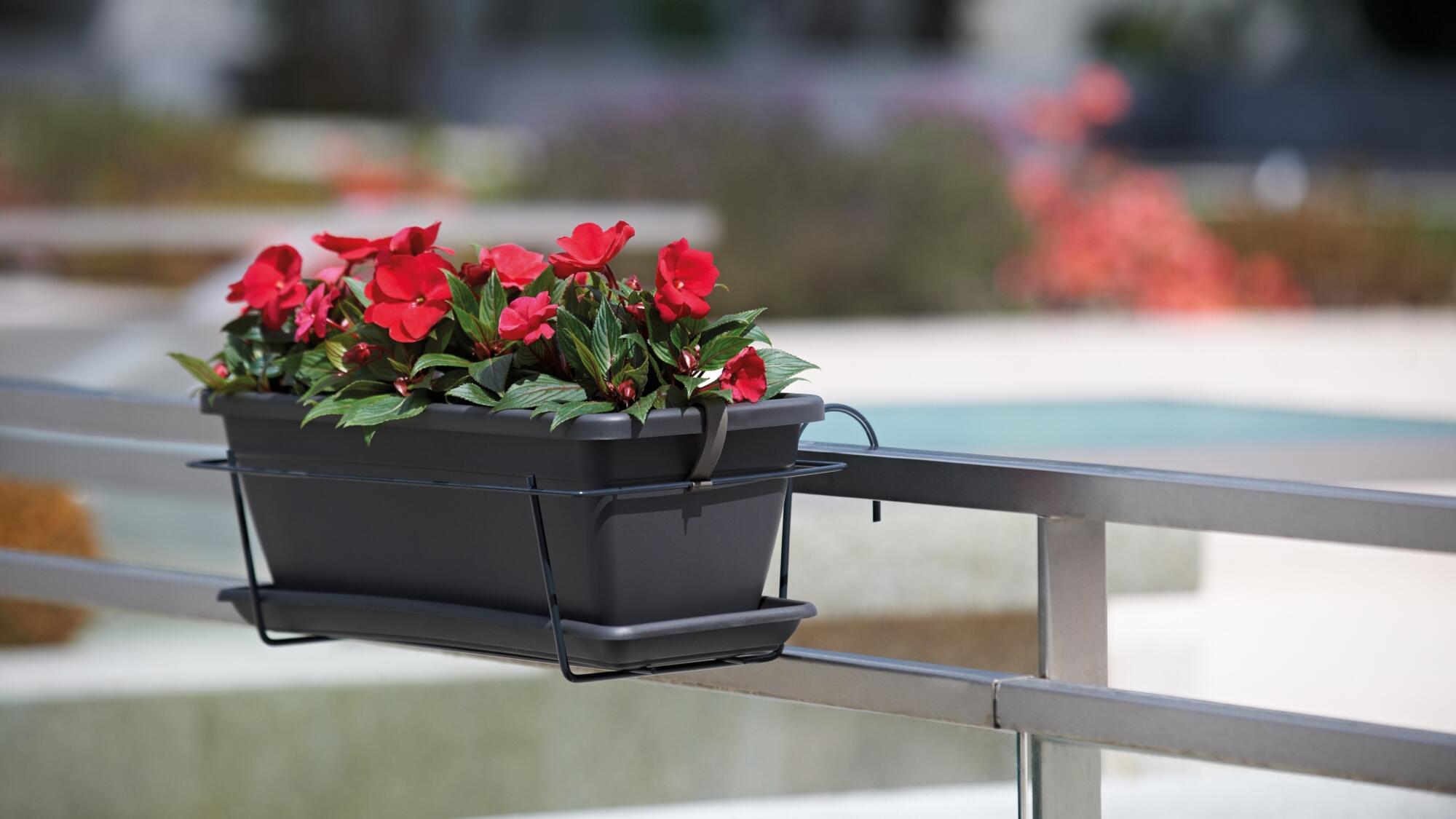 Kit jardinera y plato VENEZIA antracita 40x19,5x16,3cm - 5