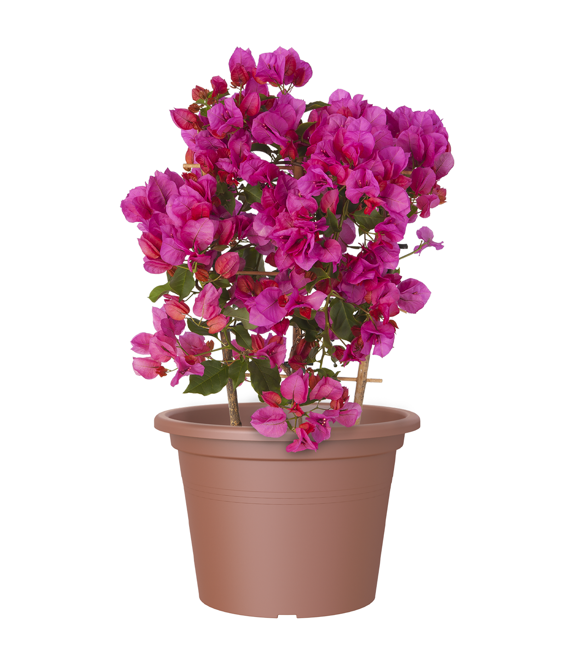 Vaso de resina CILINDRO D20CM TERRACOTA - 11