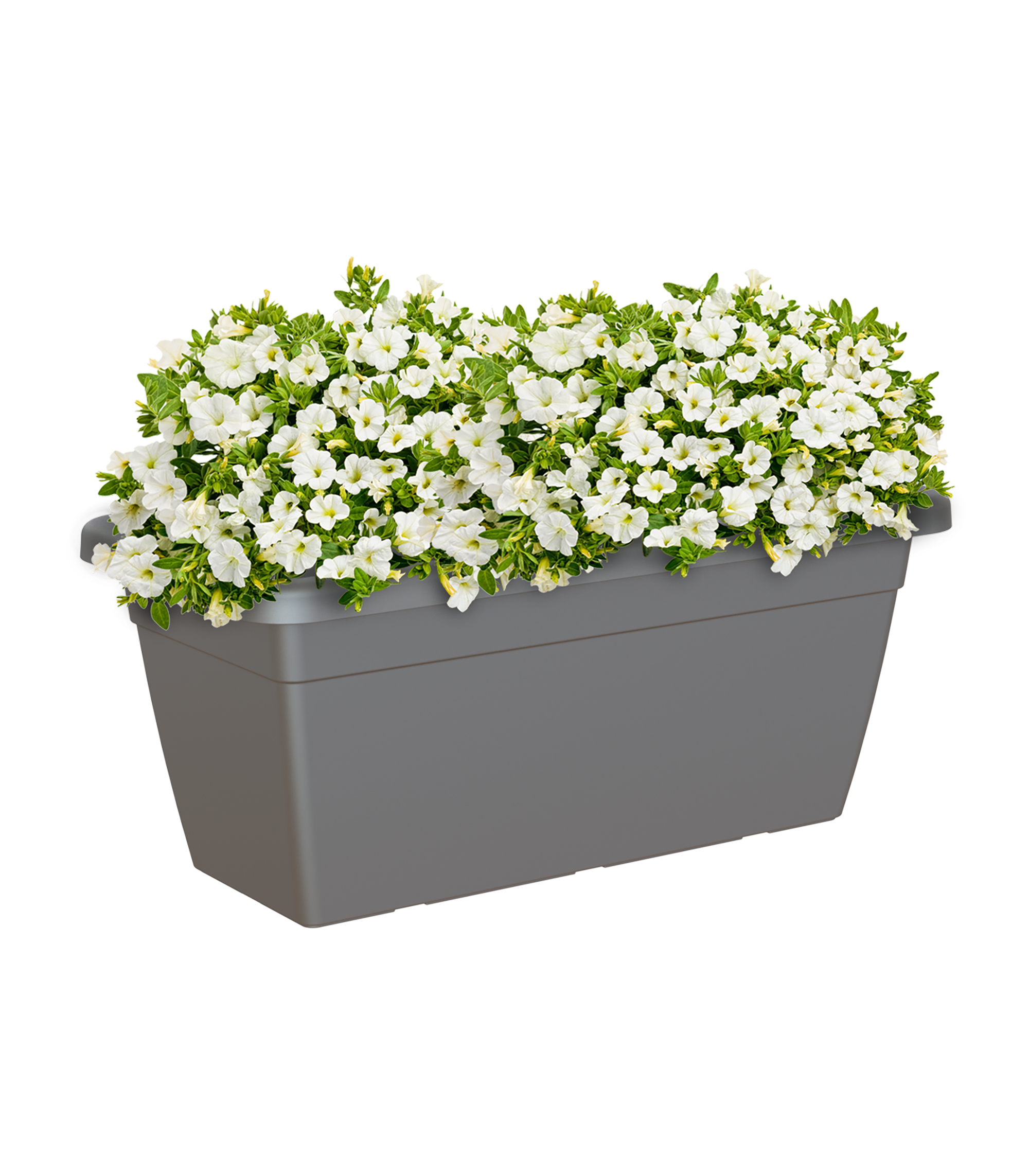 Floreira de plástico GRANDE 60X32CM CINZA - 8