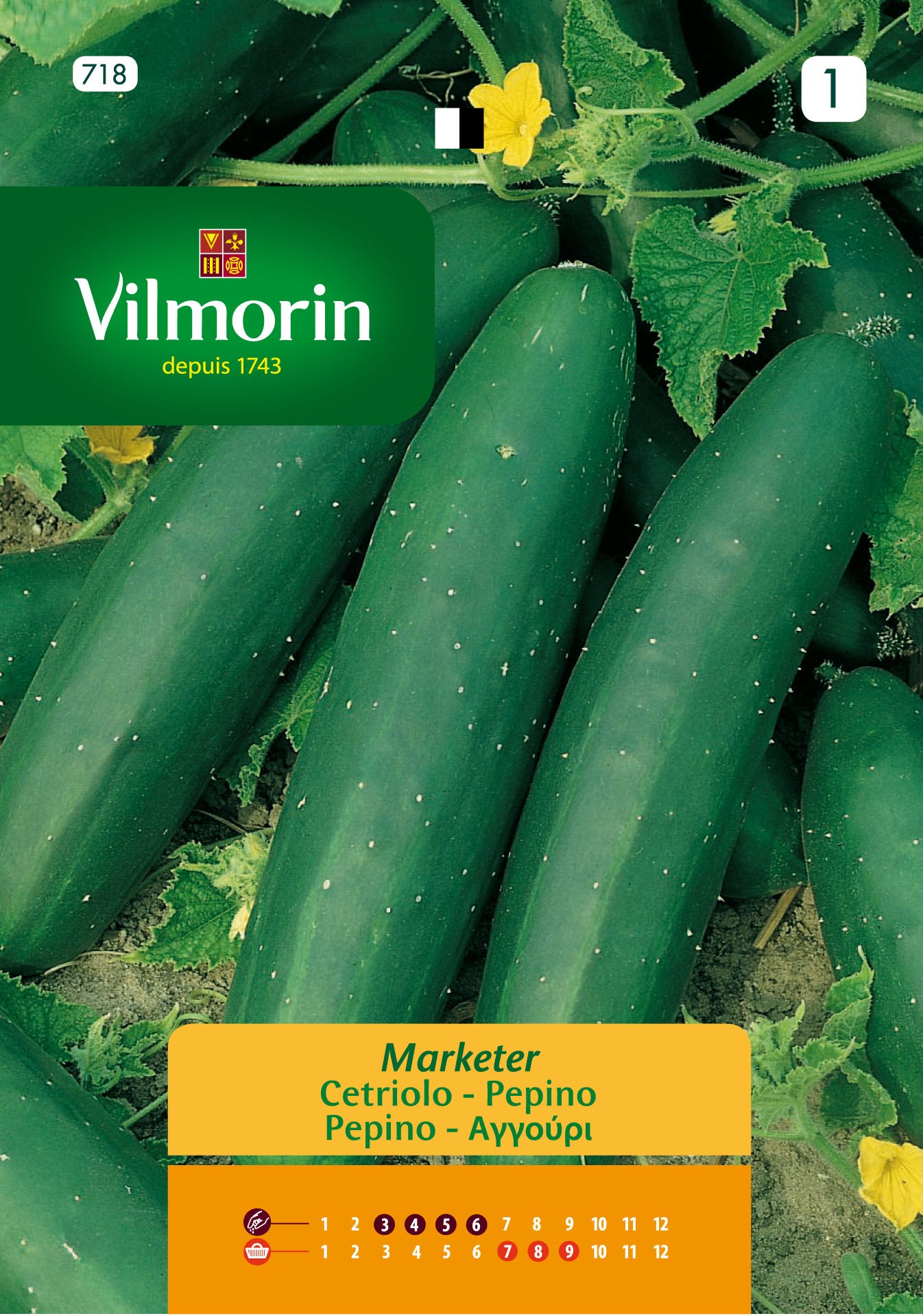 Semilla de pepino marketer