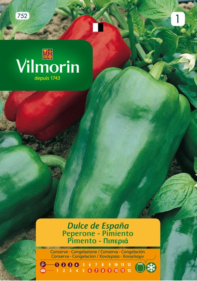 Semente de pimento DOCE DE ESPANHA