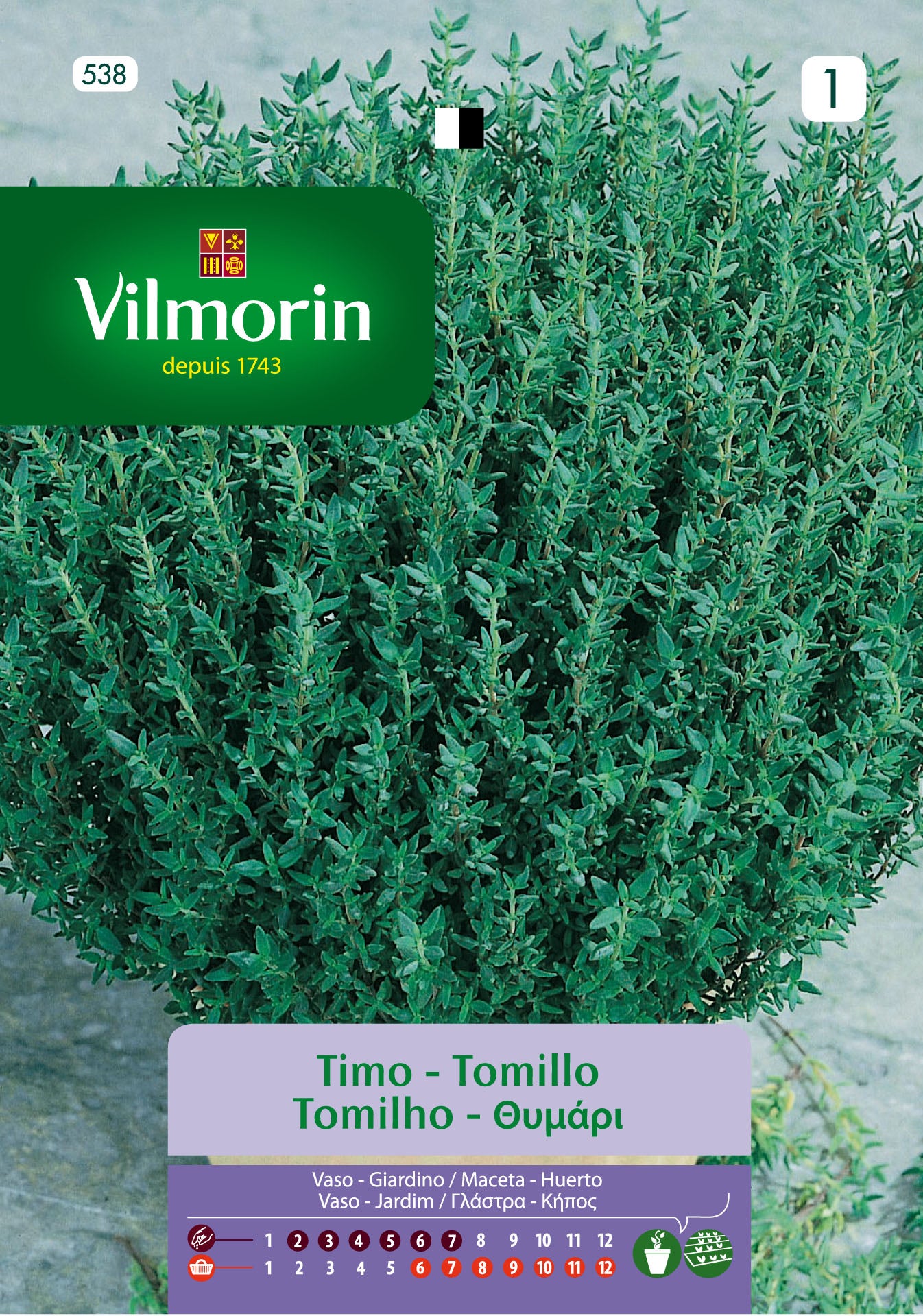 Semilla de tomillo