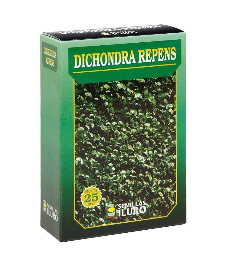 Dichondra iluro 0.25kg para terrenos de menos de 100 m²