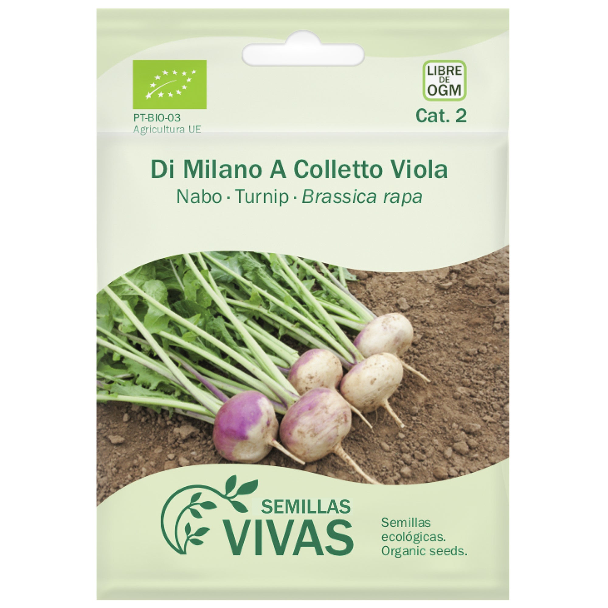 Semillas De Nabo Blanco Bola – Cintas De Siembra Para Huerto, 3 Unidades