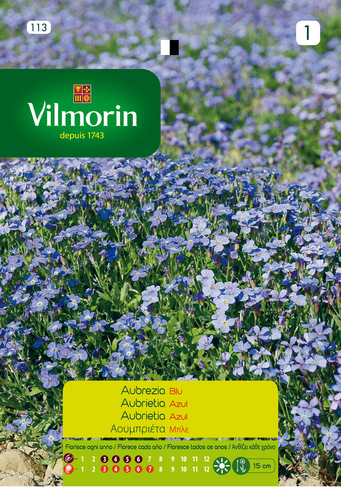 Semilla de aubrietia azul