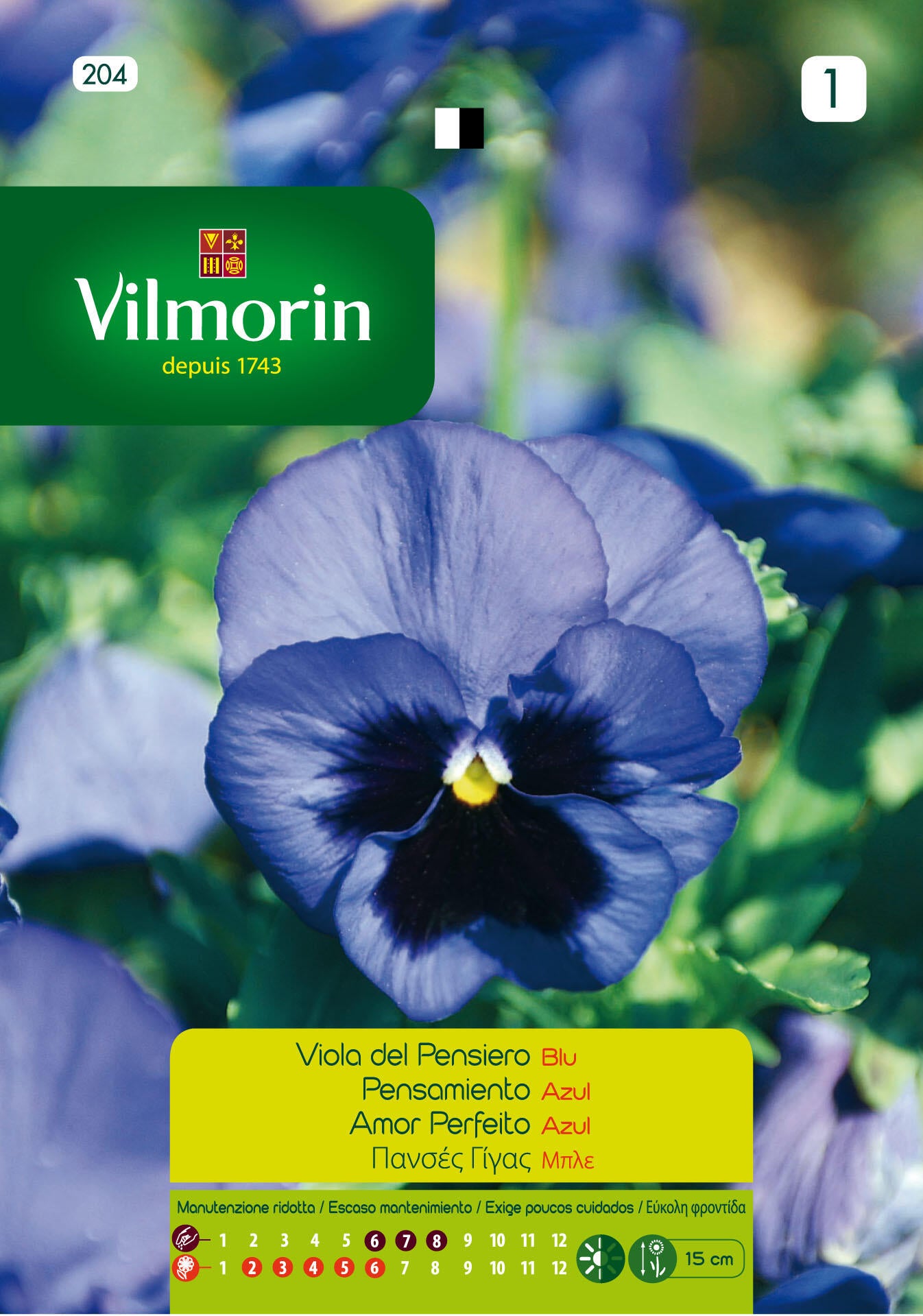 Semilla de pensamiento flor grande azul
