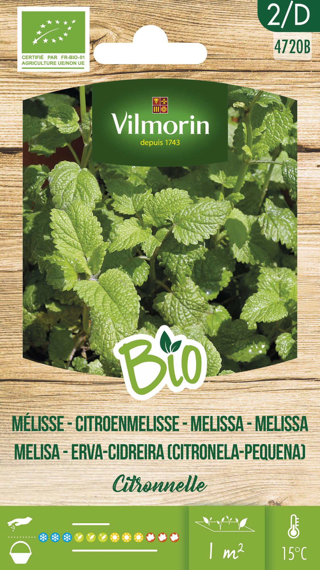 Semilla melisa vilmorin bio