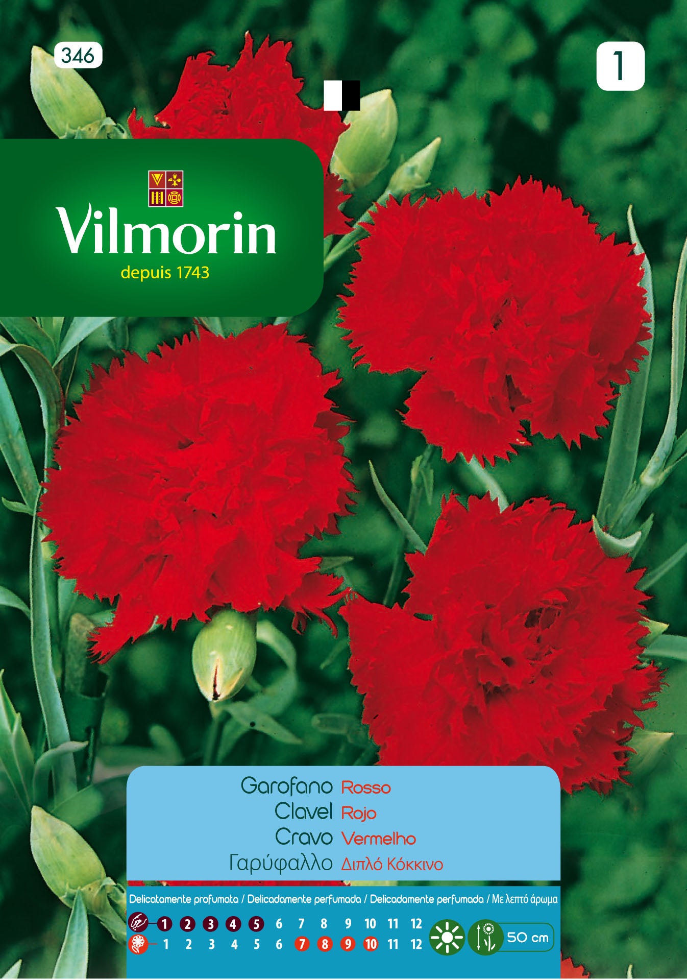 Semilla de clavel doble rojo