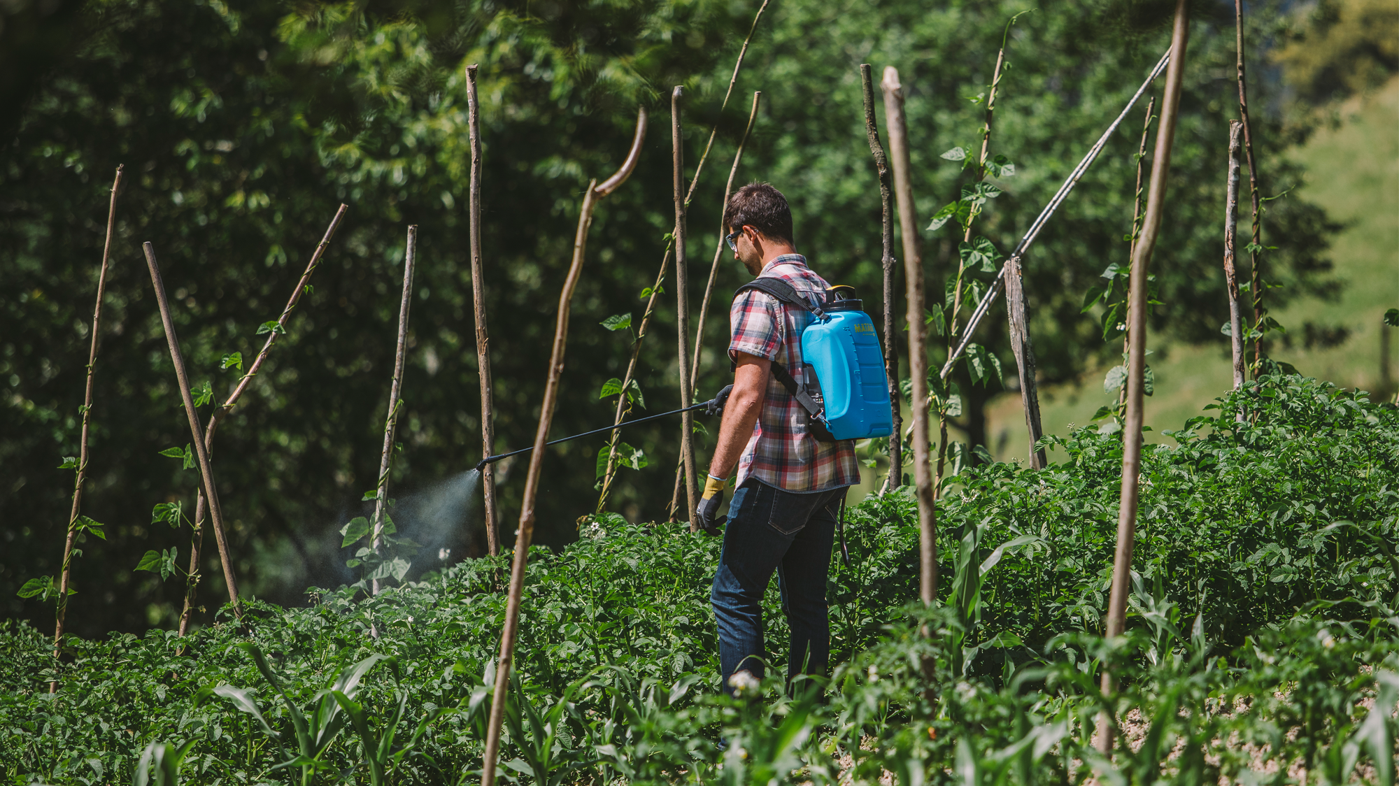 Pulverizador mochila a batería MATABI Evolution 10LT 10 L - 6