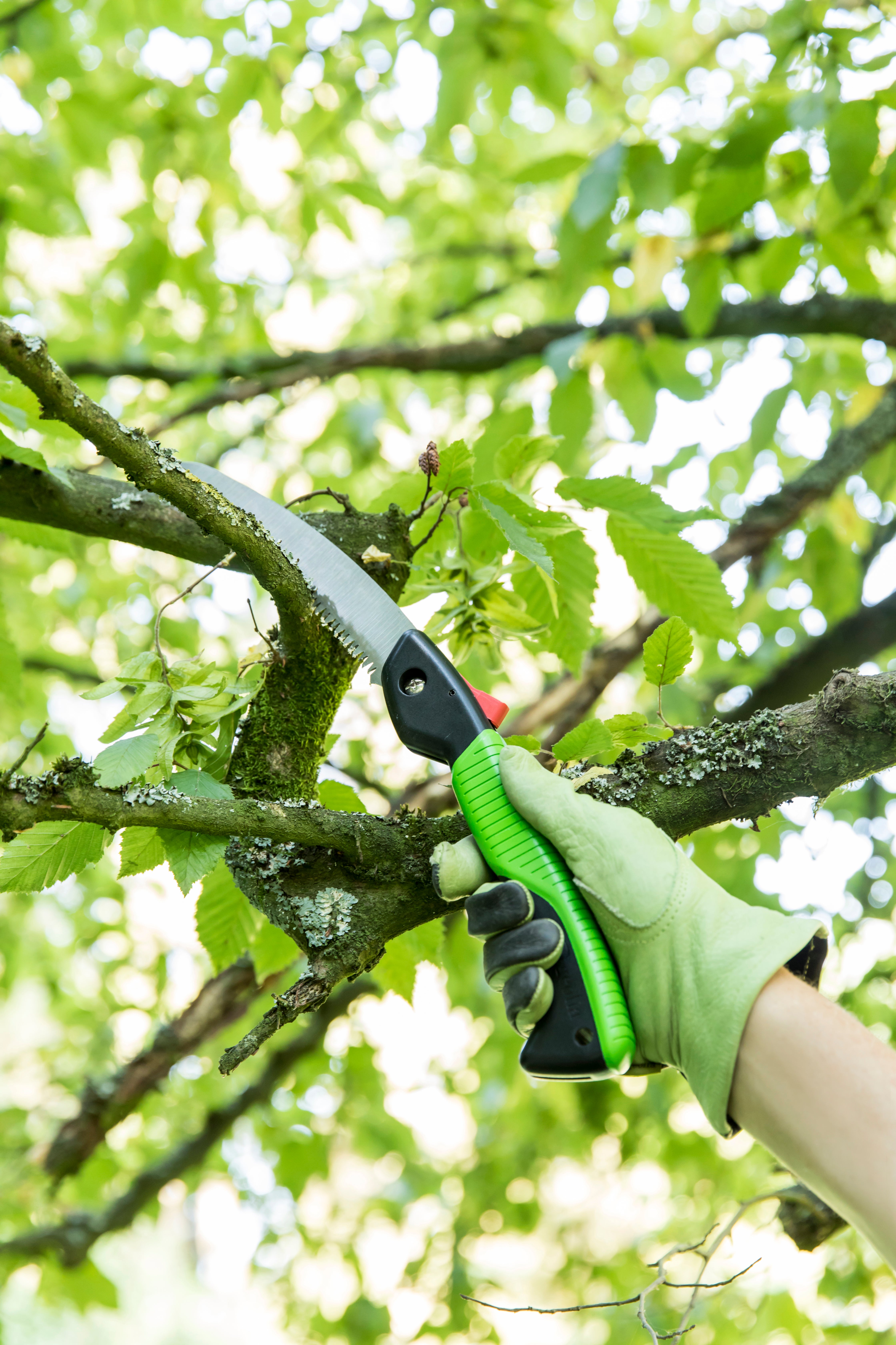 Serrote dobrável GEOLIA 44CM - 3