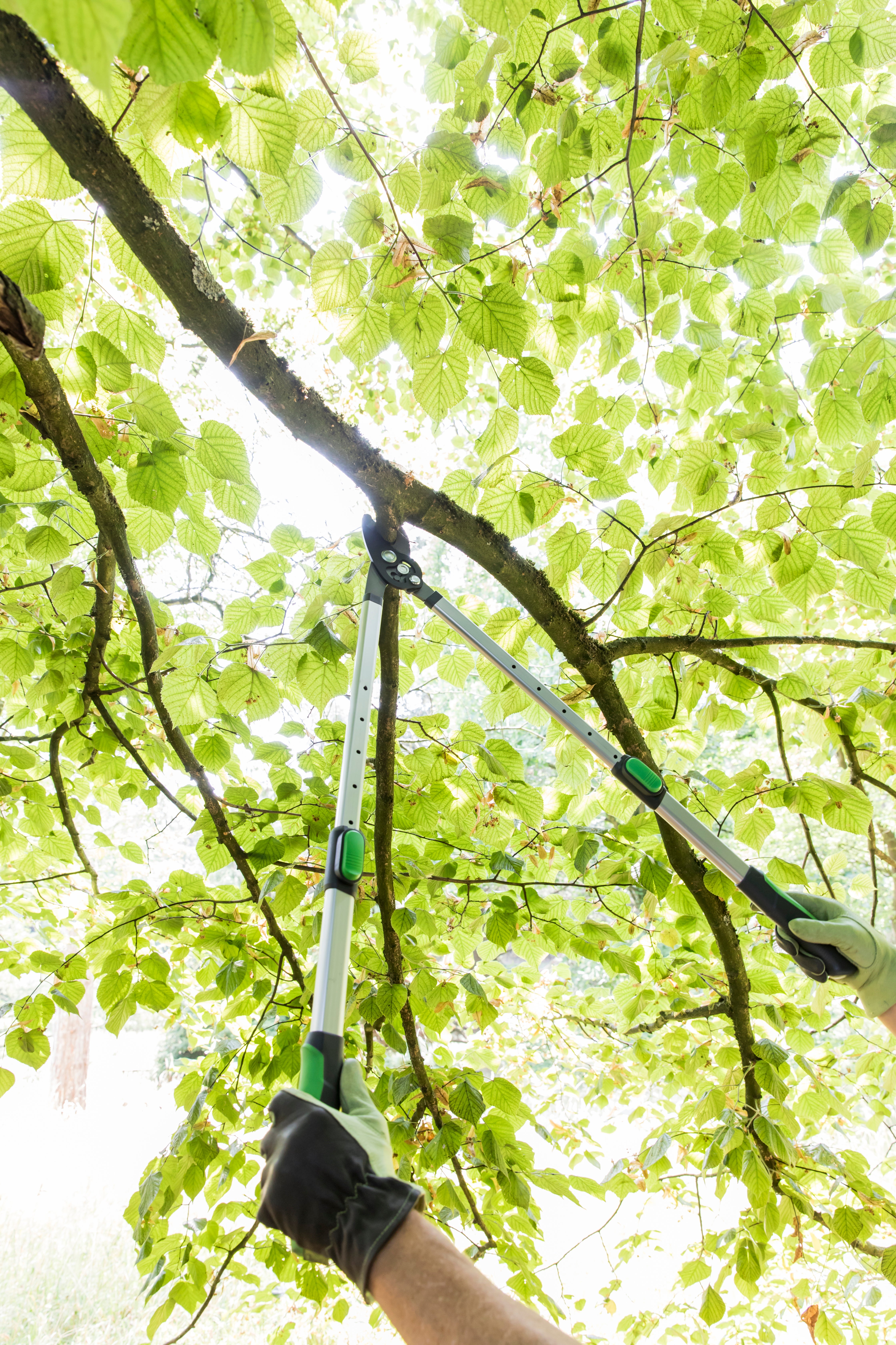 Tesoura para poda GEOLIA BYPASS 2 MÃOS 66-90CM - 4