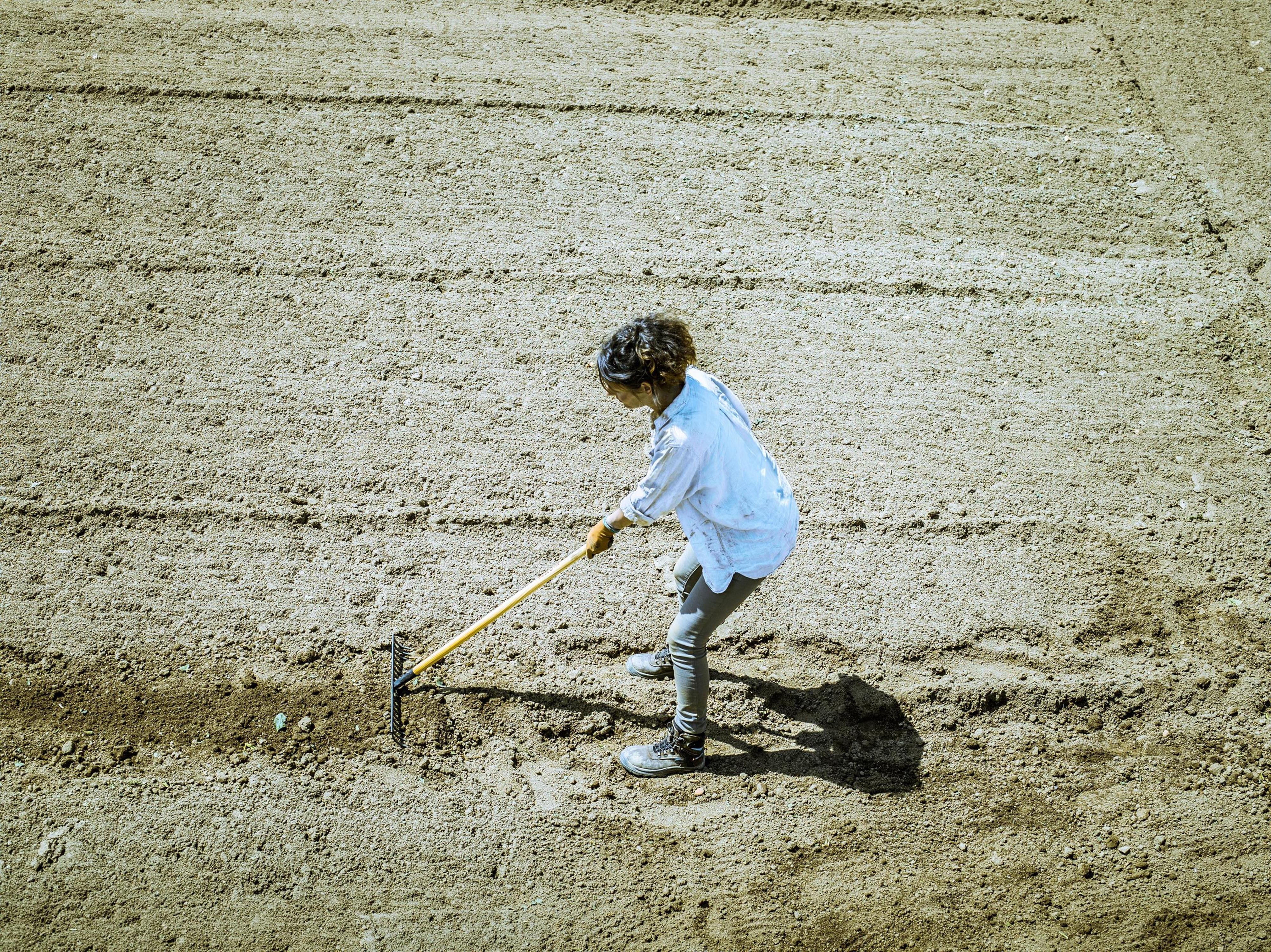 Râteau Haute Intensité Bellota – Tête En Acier Trempé, Dents Pénétrantes, Idéal Pour Travaux De Jardinage
