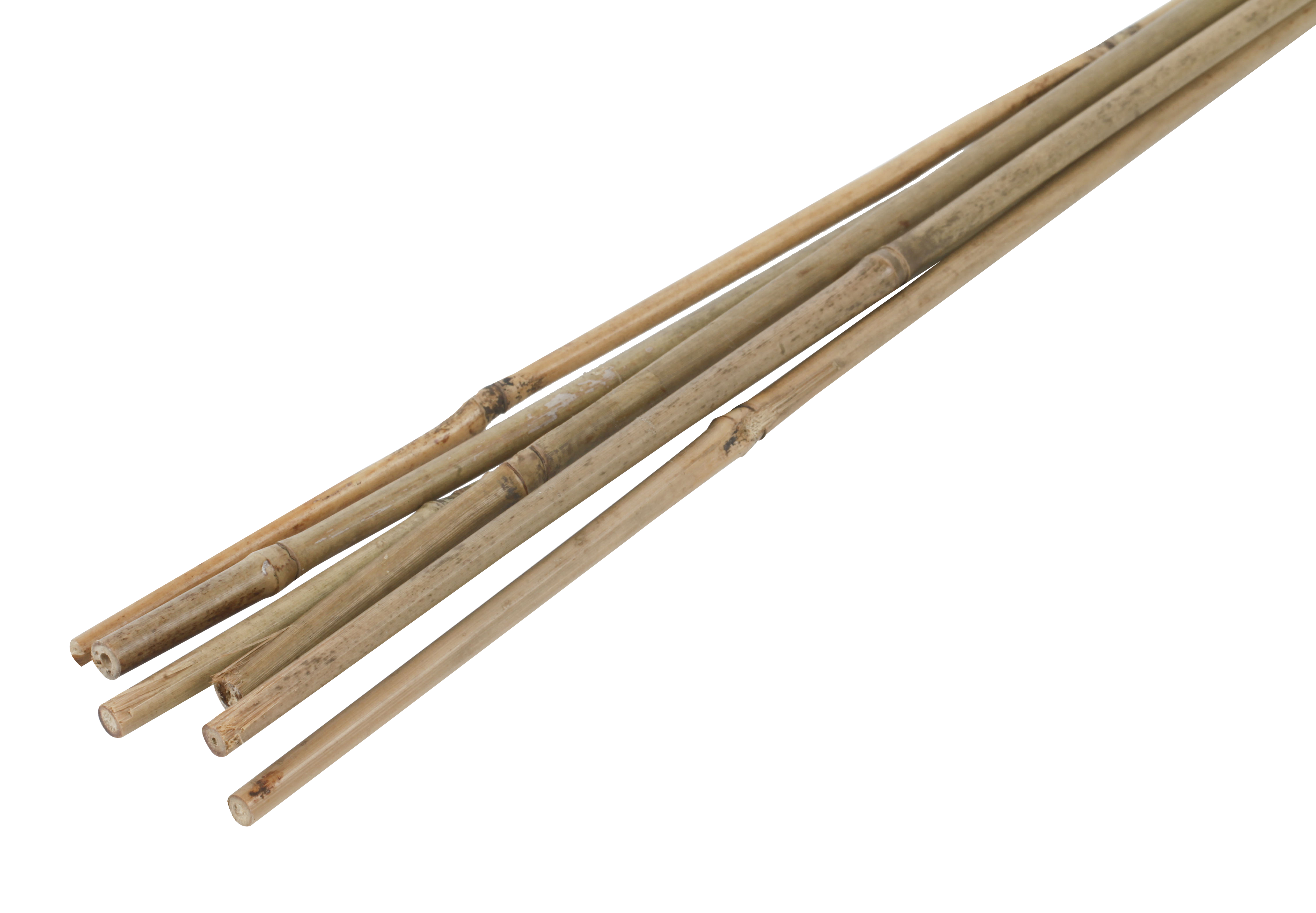Tutor de bambu NATURAL 60CM 6-8MM - 2