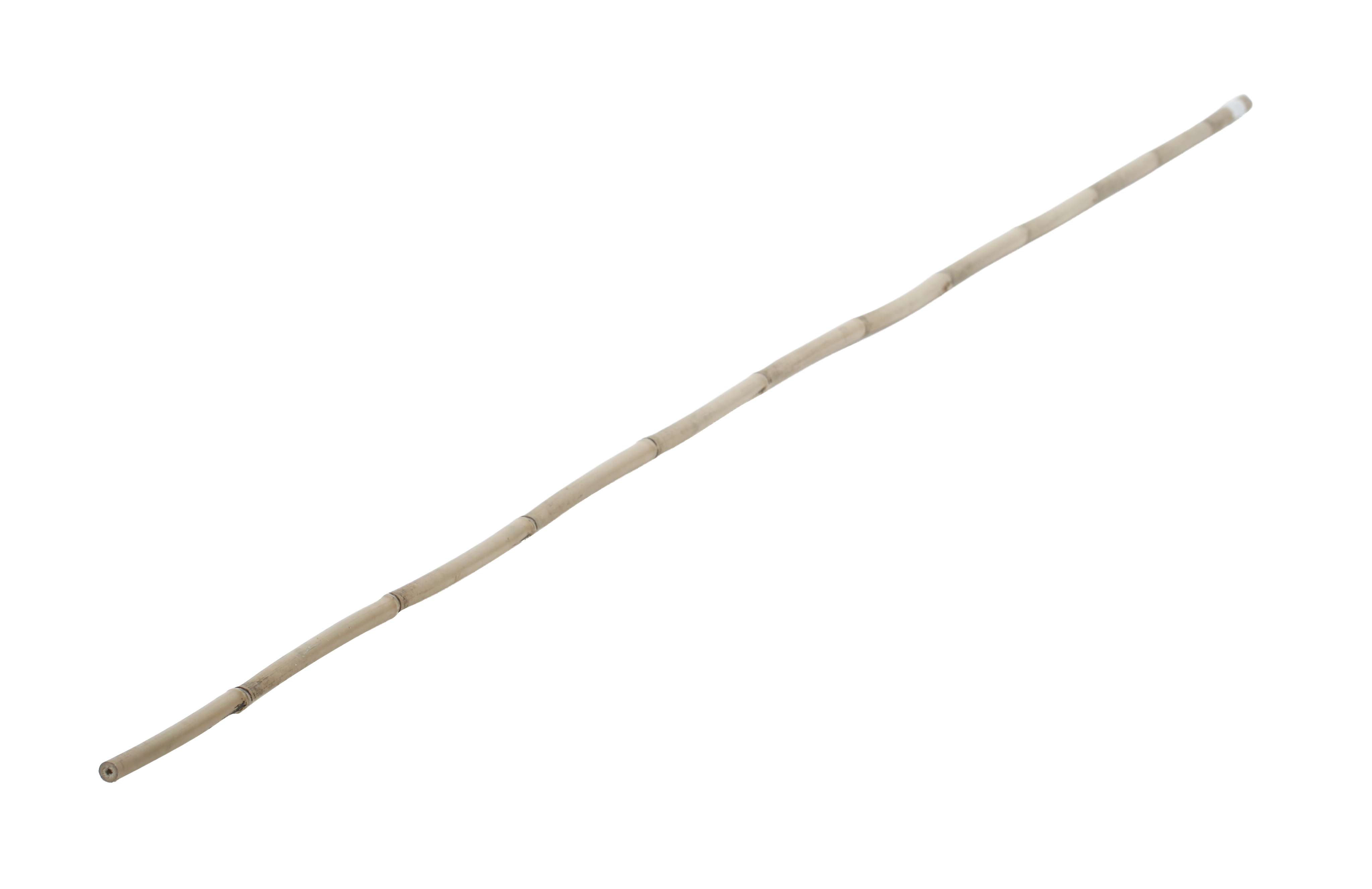 Soporte para plantar de bambú de 2.1m de alto y 16 mm de diámetro - 4