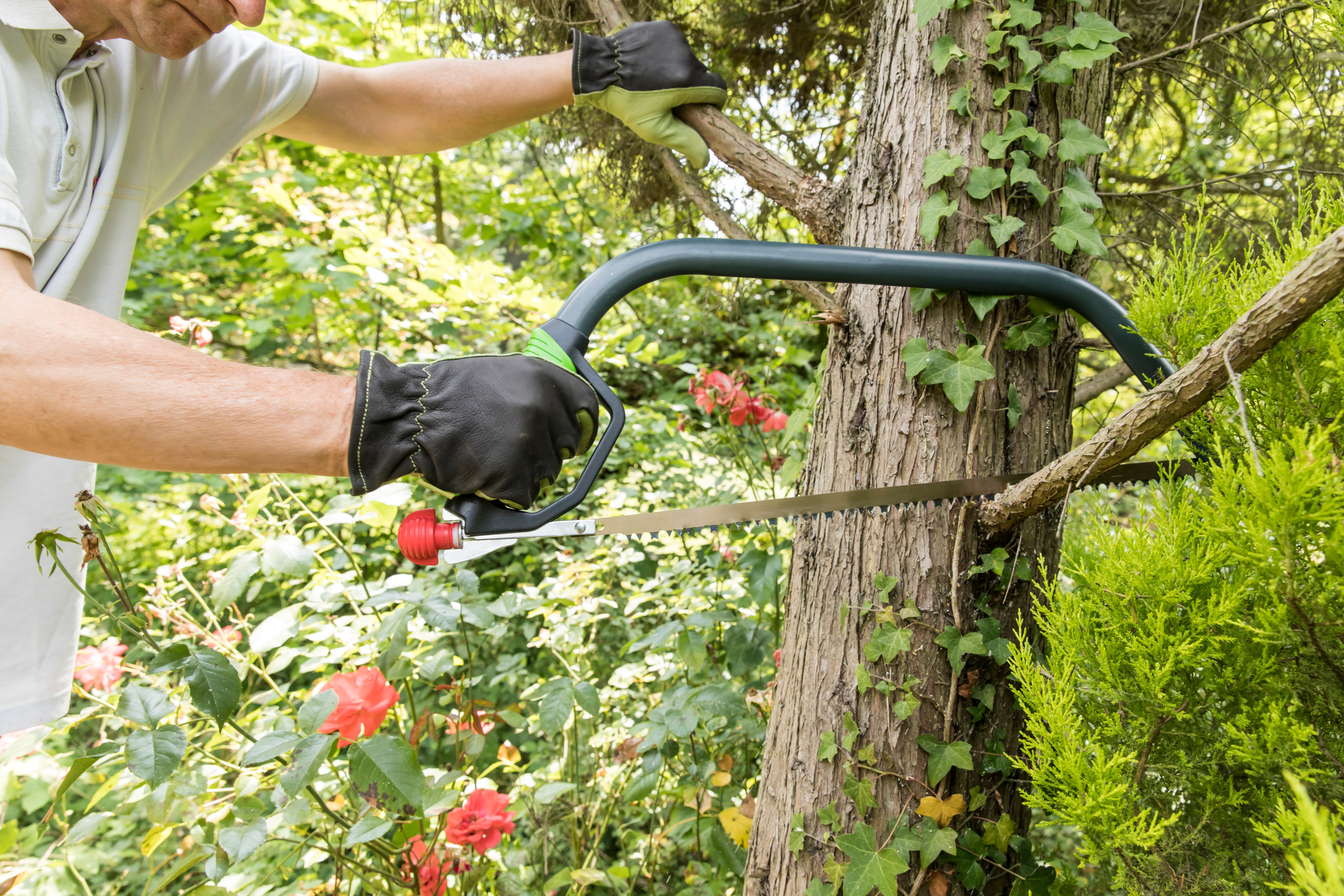 Serrote GEOLIA ARCO 53CM - 10