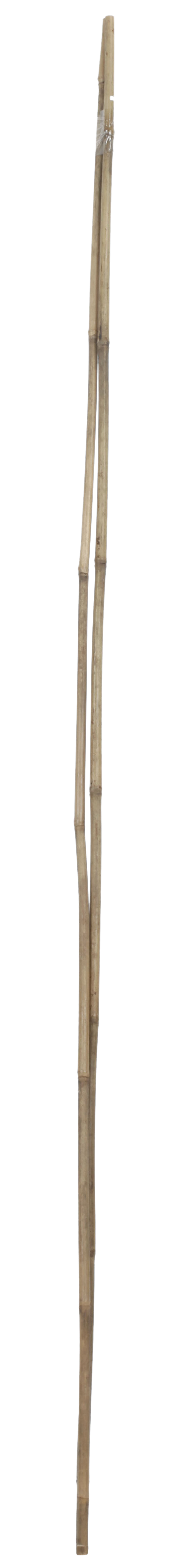 Soporte para plantar de bambú de 1.5m de alto y 12 mm de diámetro