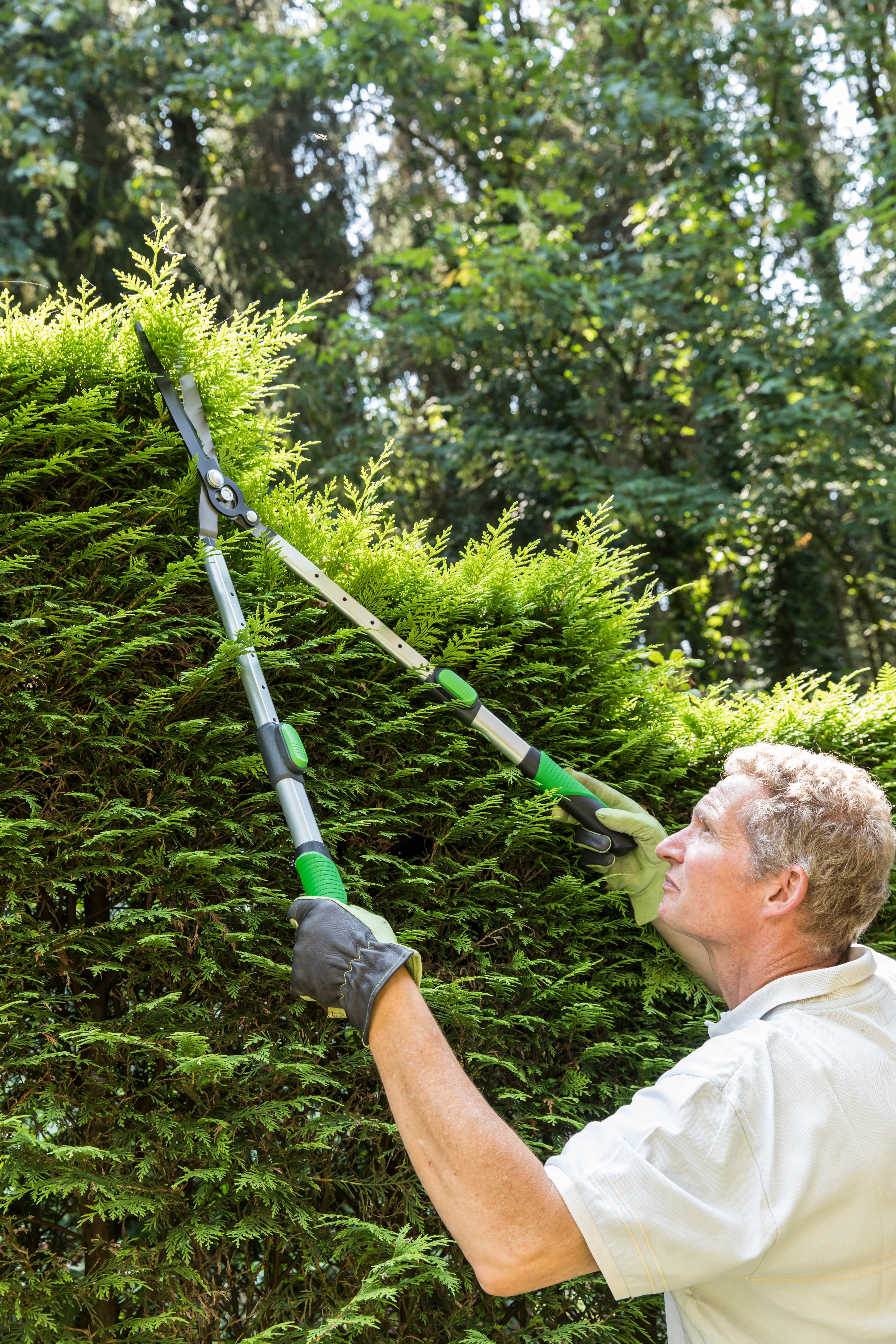 Tesoura corta sebes GEOLIA 66-90 ALUMÍNIO 229MM - 3