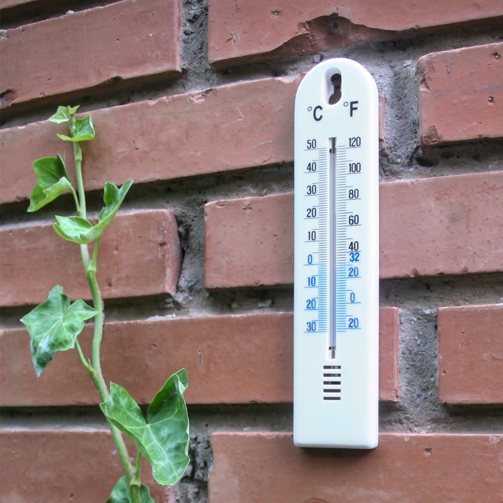 Termómetro NATCARE Celsius - 2