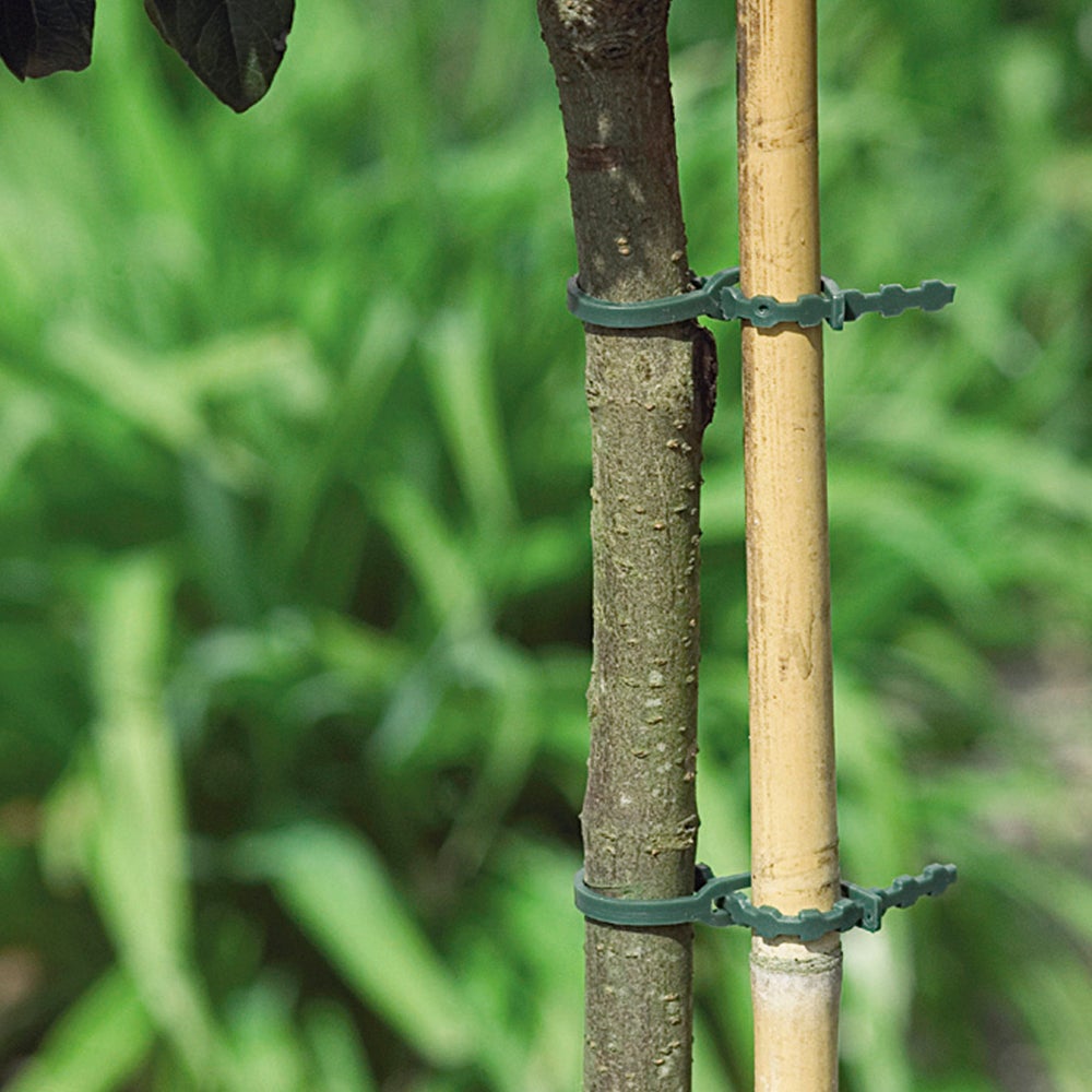 12 ataduras ajustables para plantas 35 cm - 2