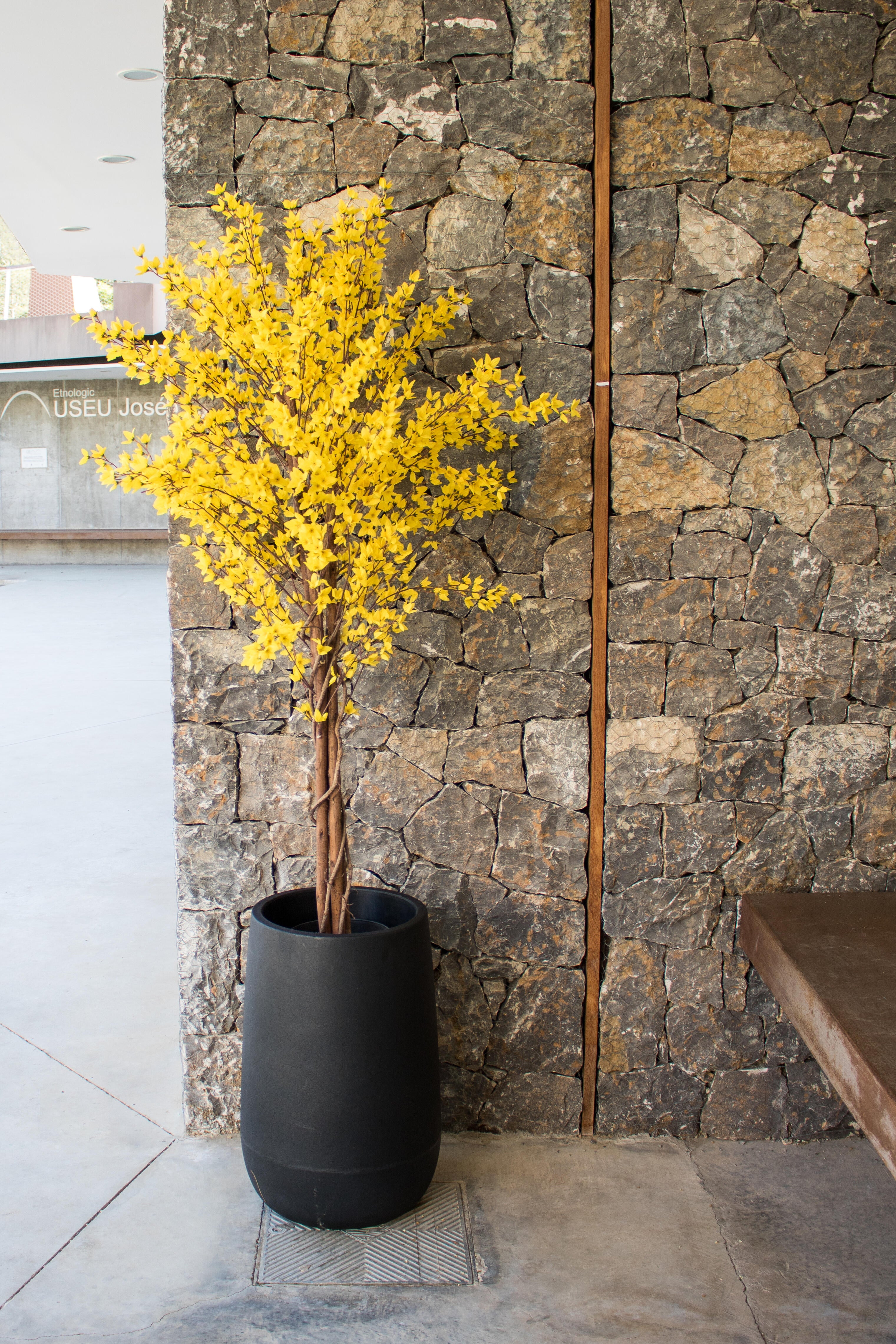 Maceta de polietileno camelia negro 39x59 cm