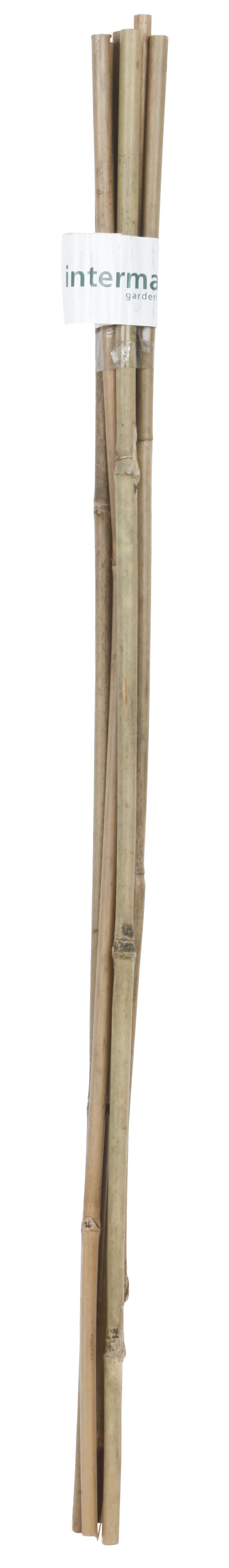 Soporte para plantar de bambú de 0.6m de alto y 8 mm de diámetro